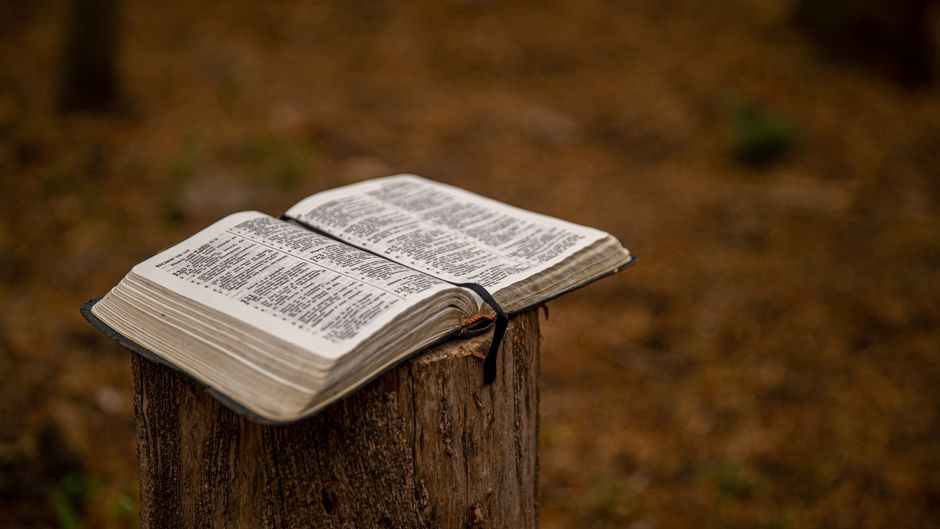 Psalm 23 in Hebrew: The Words Behind the Shepherd
