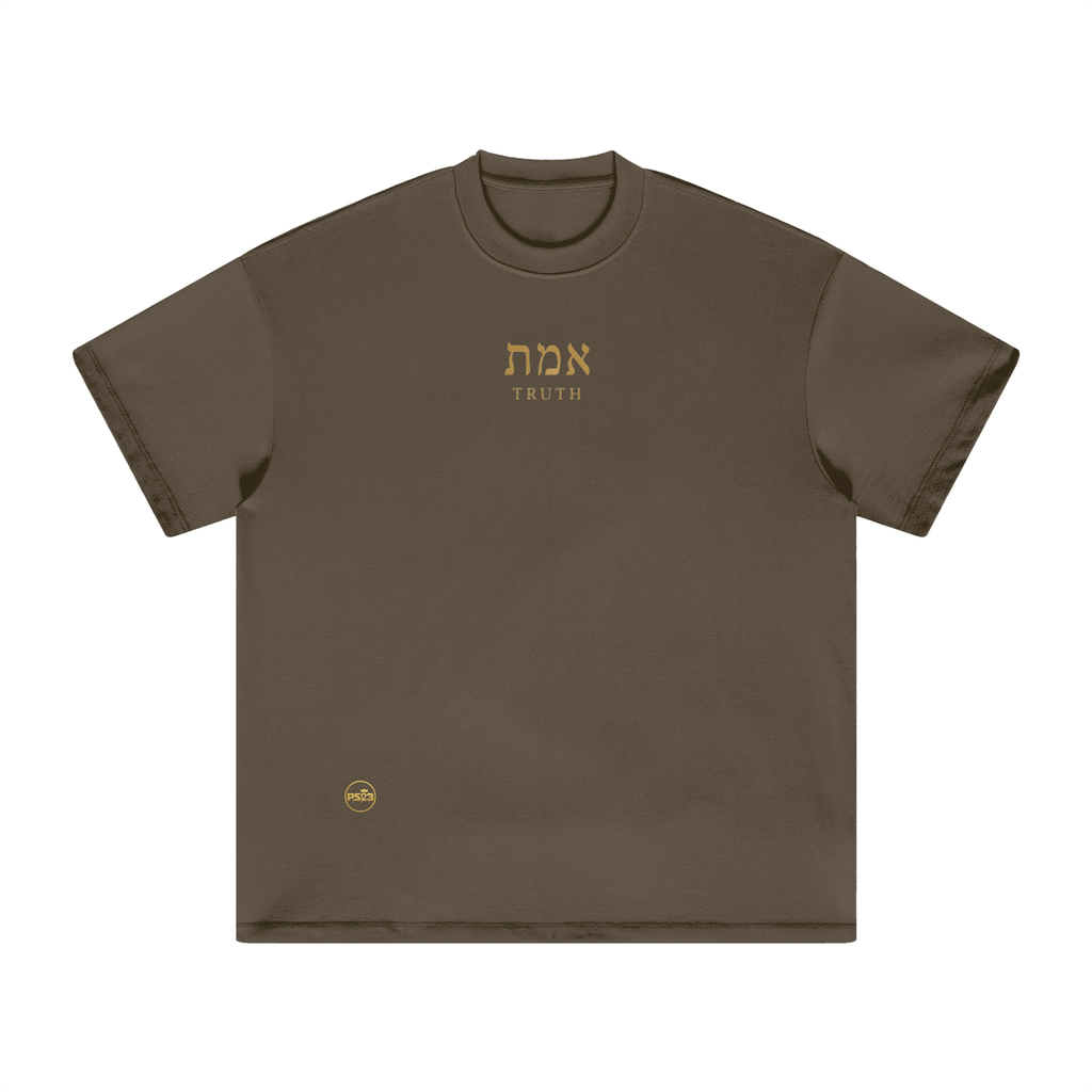 PS23 Hebrew Truth Heavyweight Earth Tone T-Shirt