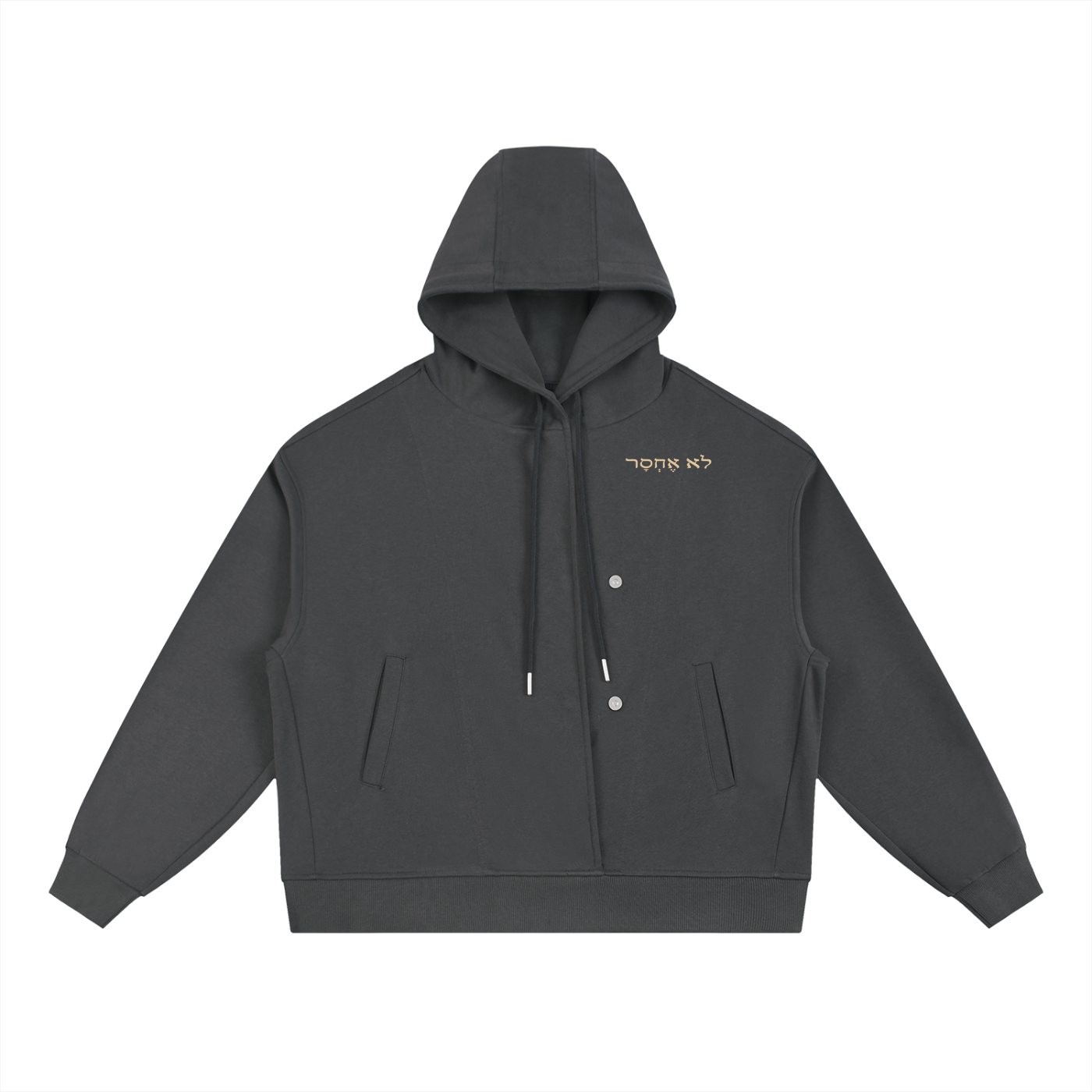 PS23 Hebrew I shall not want Boxy Button Placket Hoodie