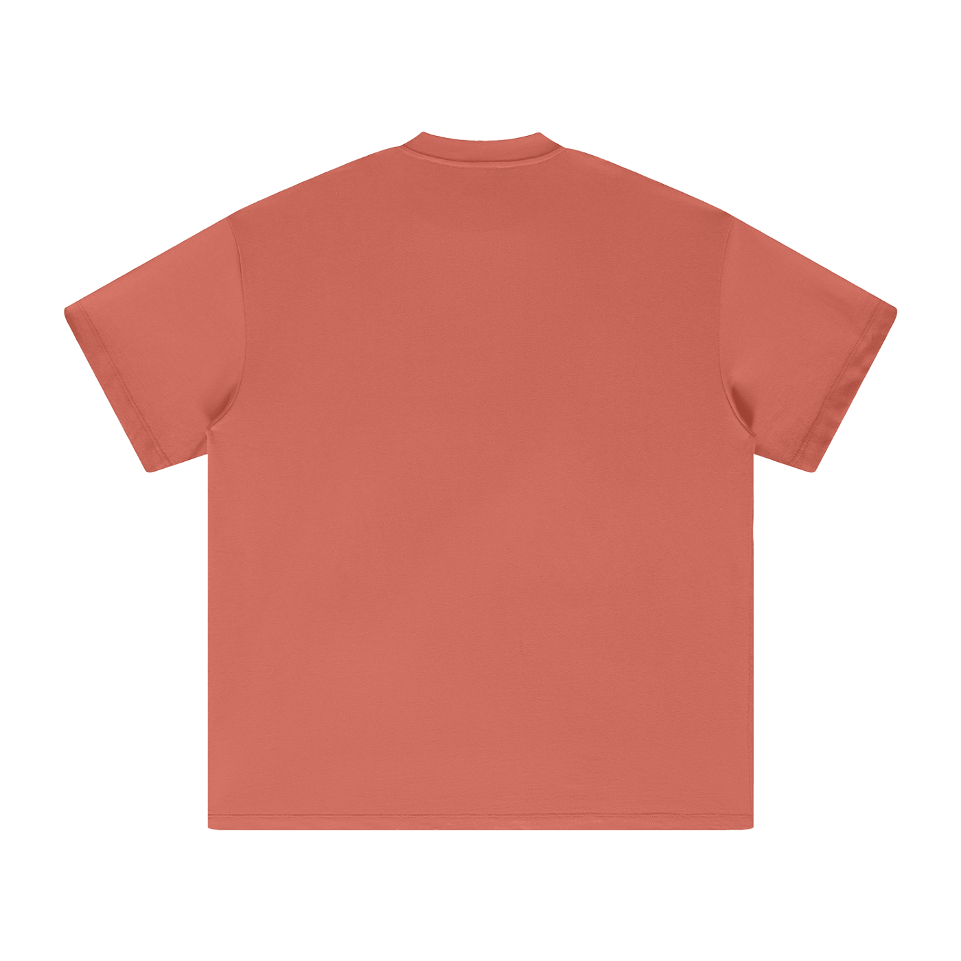 PS23 God Word Heavyweight Earth Tone T-Shirt