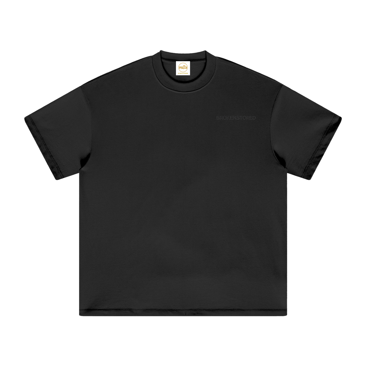 PS23 Embroidery Brokenstored Heavyweight Earth Tone T-Shirt