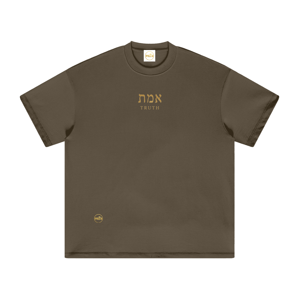 PS23 Hebrew Truth Heavyweight Earth Tone T-Shirt