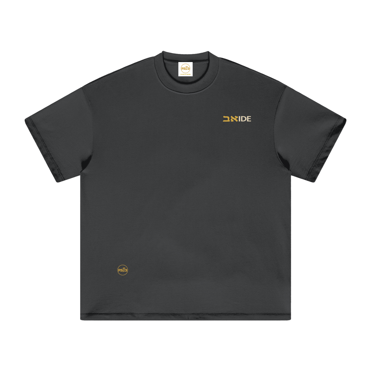 PS23 Bilingual Concept Abide Heavyweight Earth Tone T-Shirt