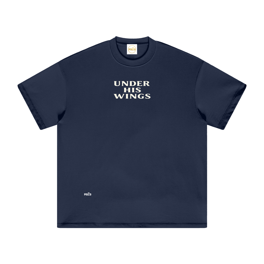 PS23 Under his wings Heavyweight Earth Tone T-Shirt