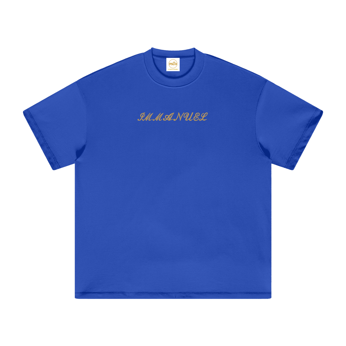 PS23 Embroidery Immanuel Heavyweight Earth Tone T-Shirt