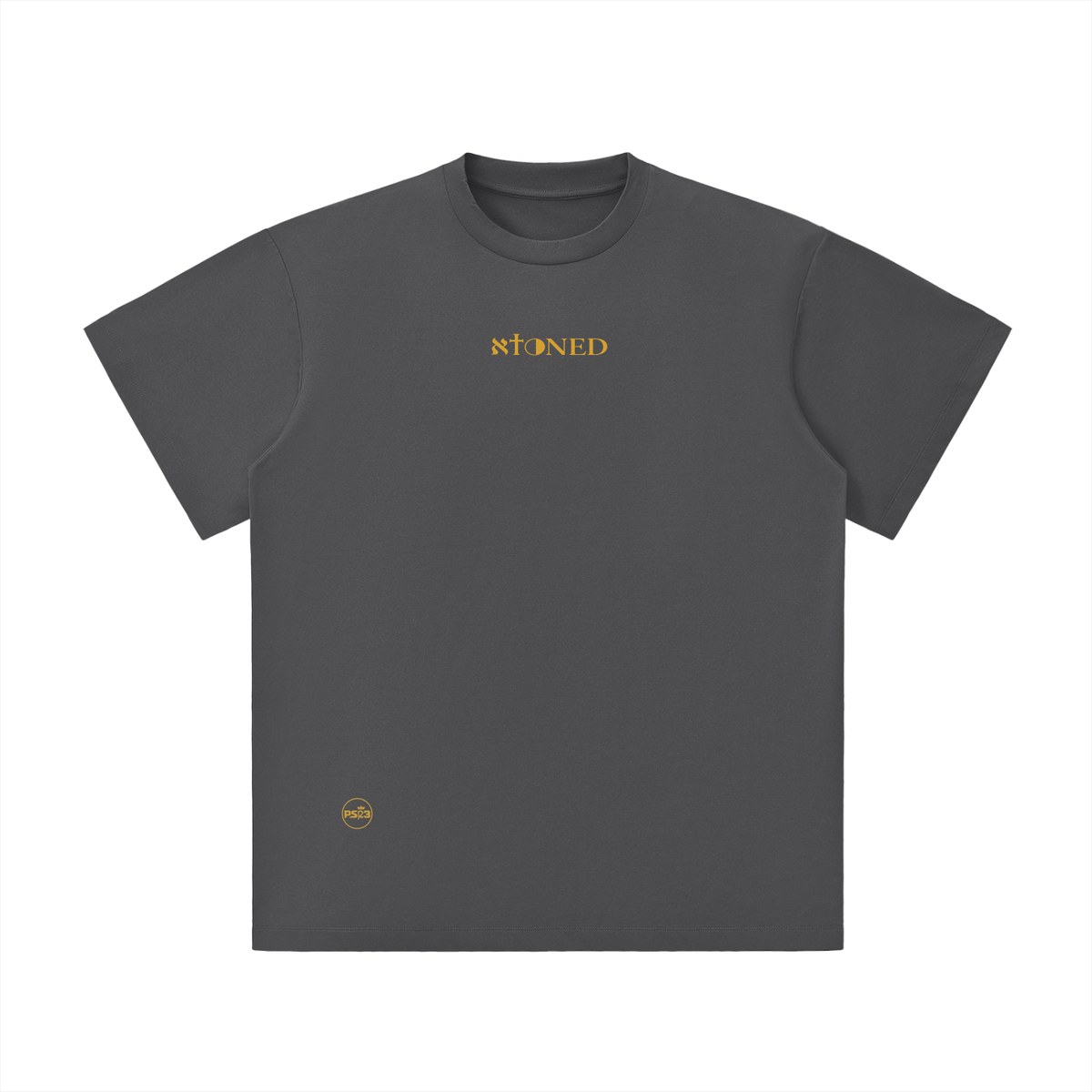 PS23 Bilingual Concept Atoned Unisex Lightweight Oversized T-Shirt