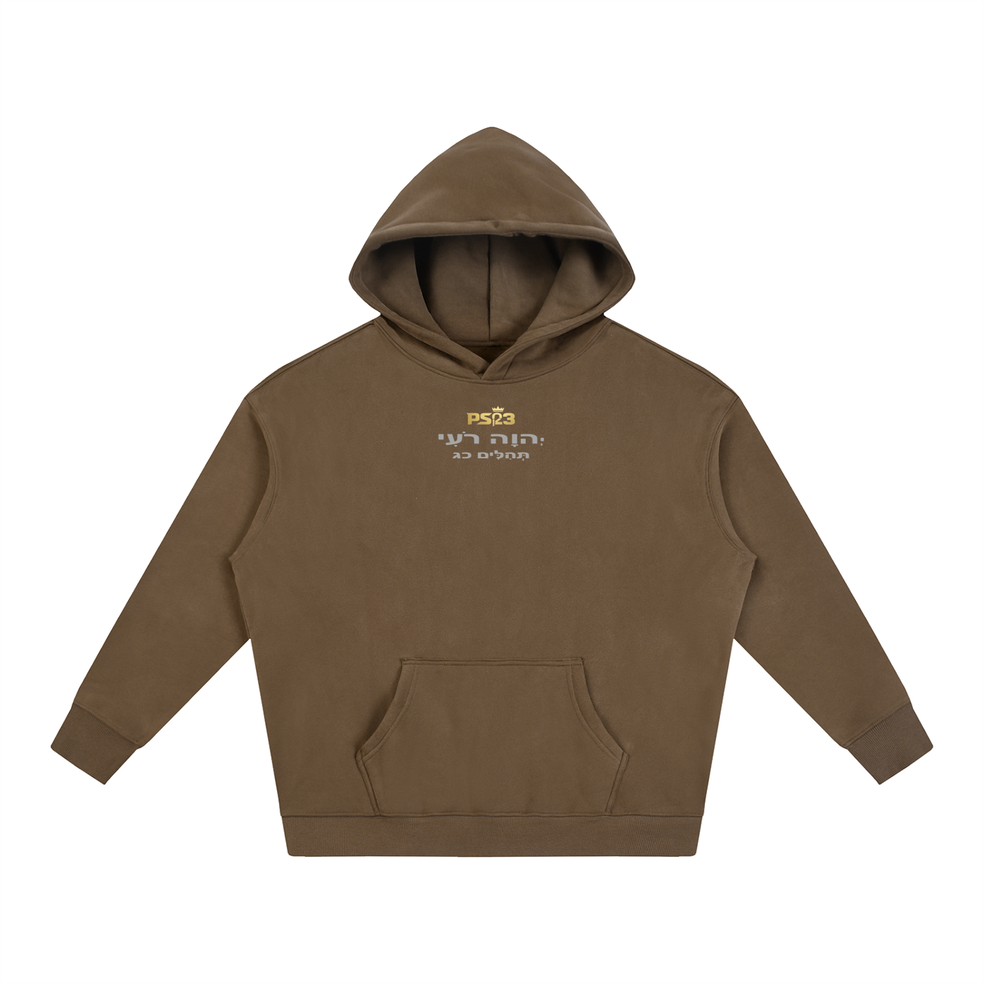 PS23 Tehilim 23 Oversize Fleeced Hoodie