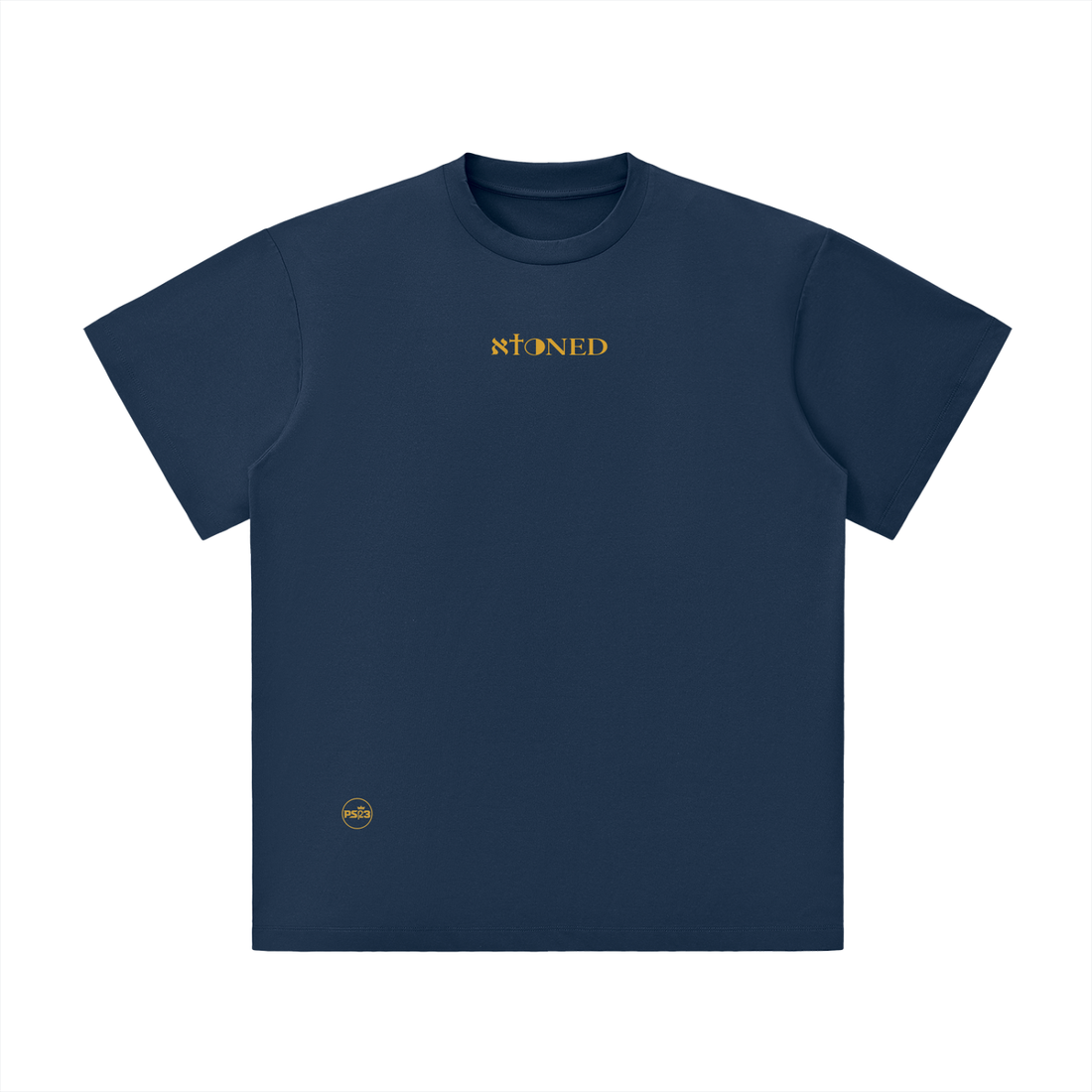 PS23 Bilingual Concept Atoned Unisex Lightweight Oversized T-Shirt