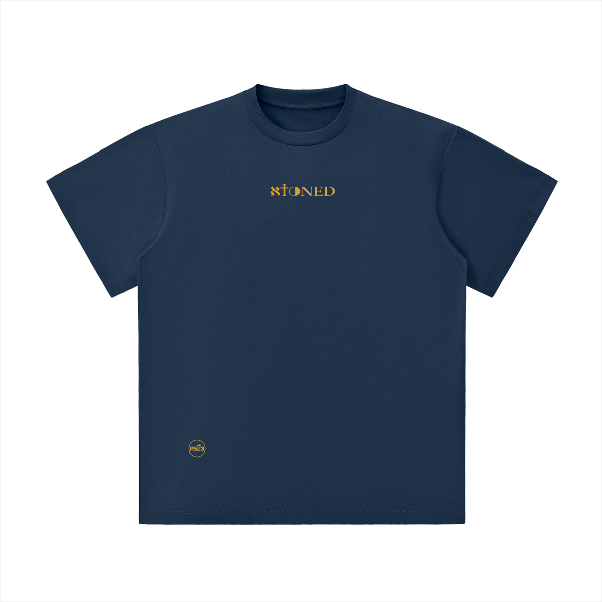 PS23 Bilingual Concept Atoned Unisex Lightweight Oversized T-Shirt