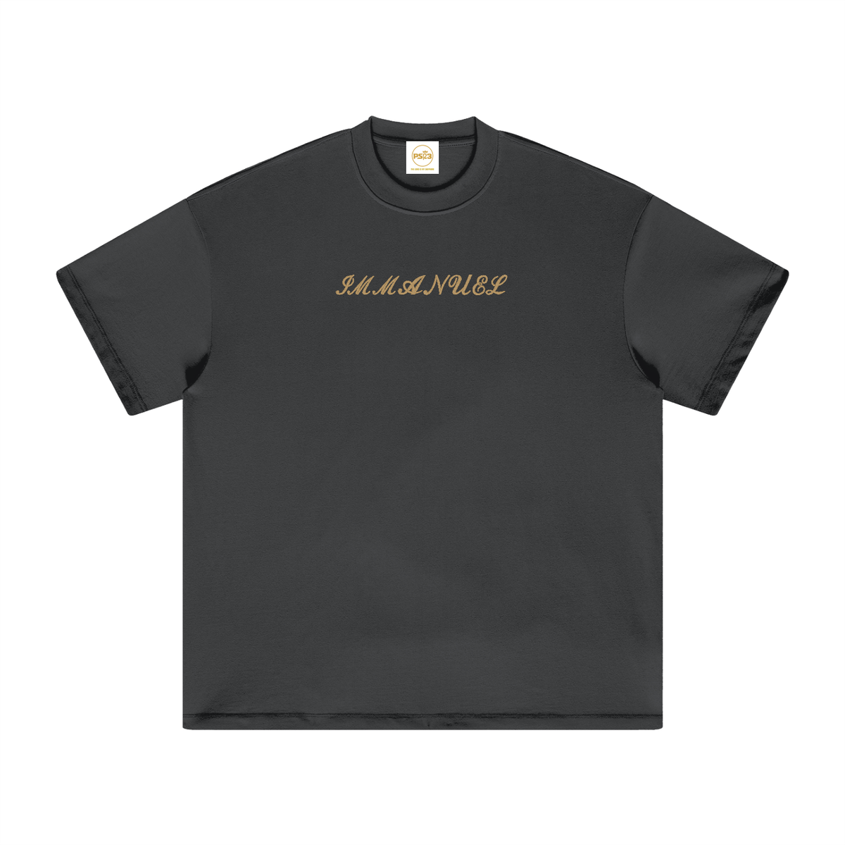 PS23 Embroidery Immanuel Heavyweight Earth Tone T-Shirt