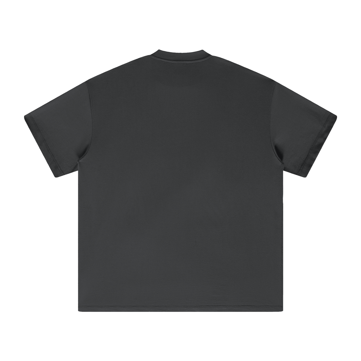 PS23 Embroidery Brokenstored Heavyweight Earth Tone T-Shirt