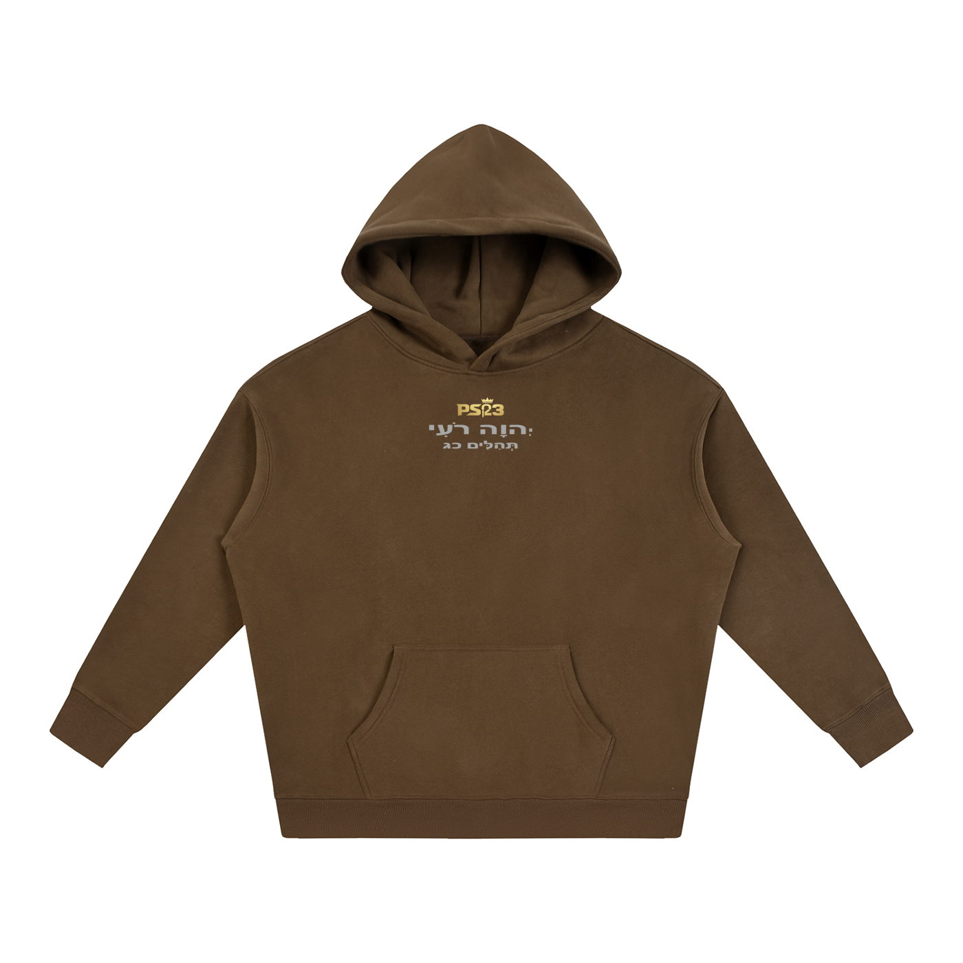 PS23 Tehilim 23 Oversize Fleeced Hoodie