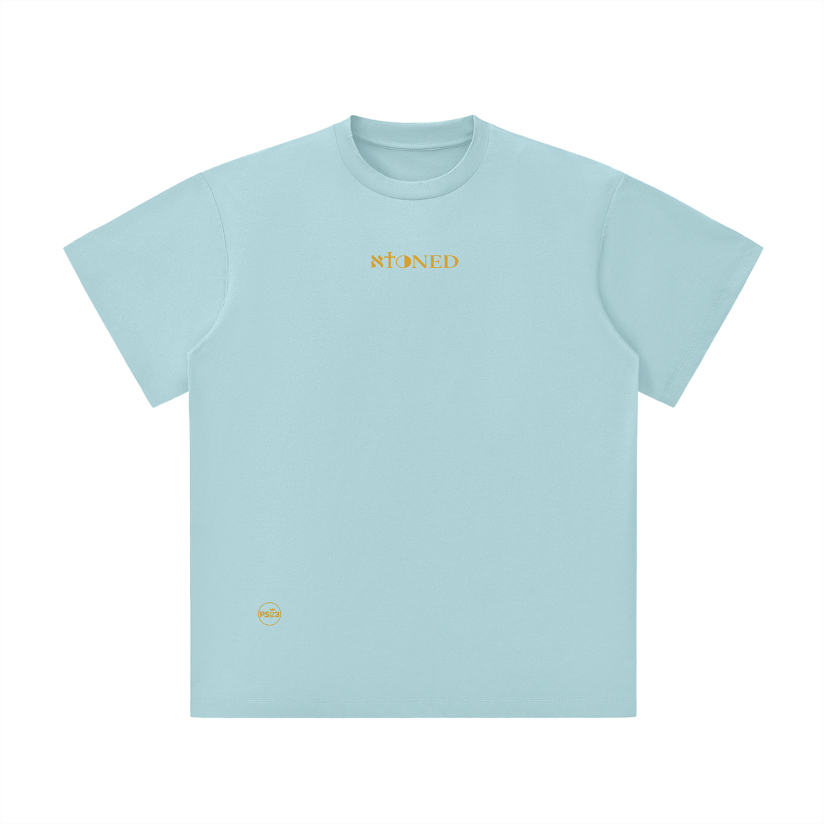 PS23 Bilingual Concept Atoned Unisex Lightweight Oversized T-Shirt