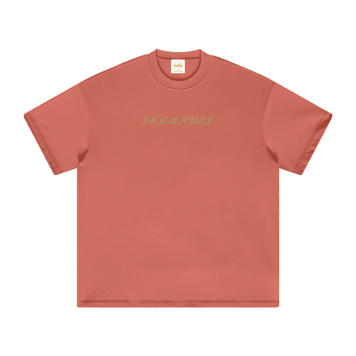 PS23 Embroidery Immanuel Heavyweight Earth Tone T-Shirt
