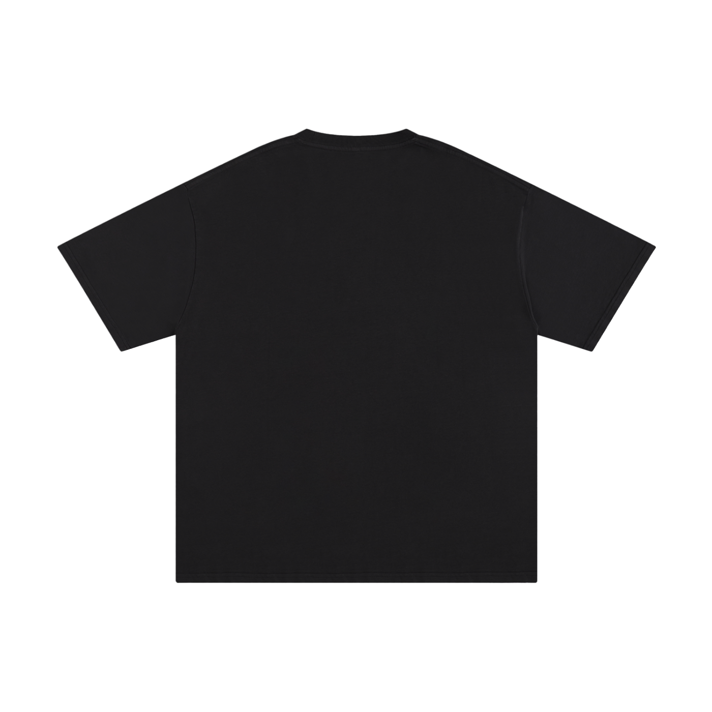 PS23 Established Unisex Pure Cotton T-Shirt