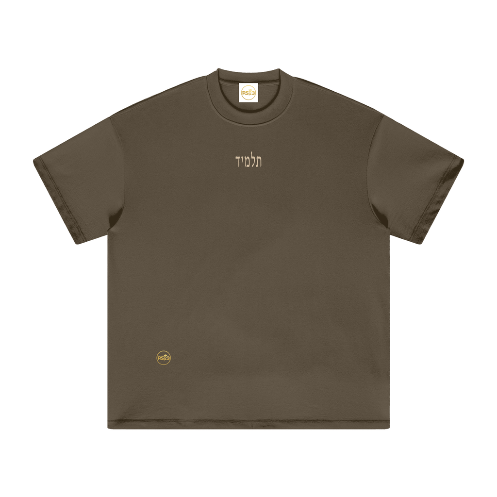 PS23 Hebrew Disciple Heavyweight Earth Tone T-Shirt