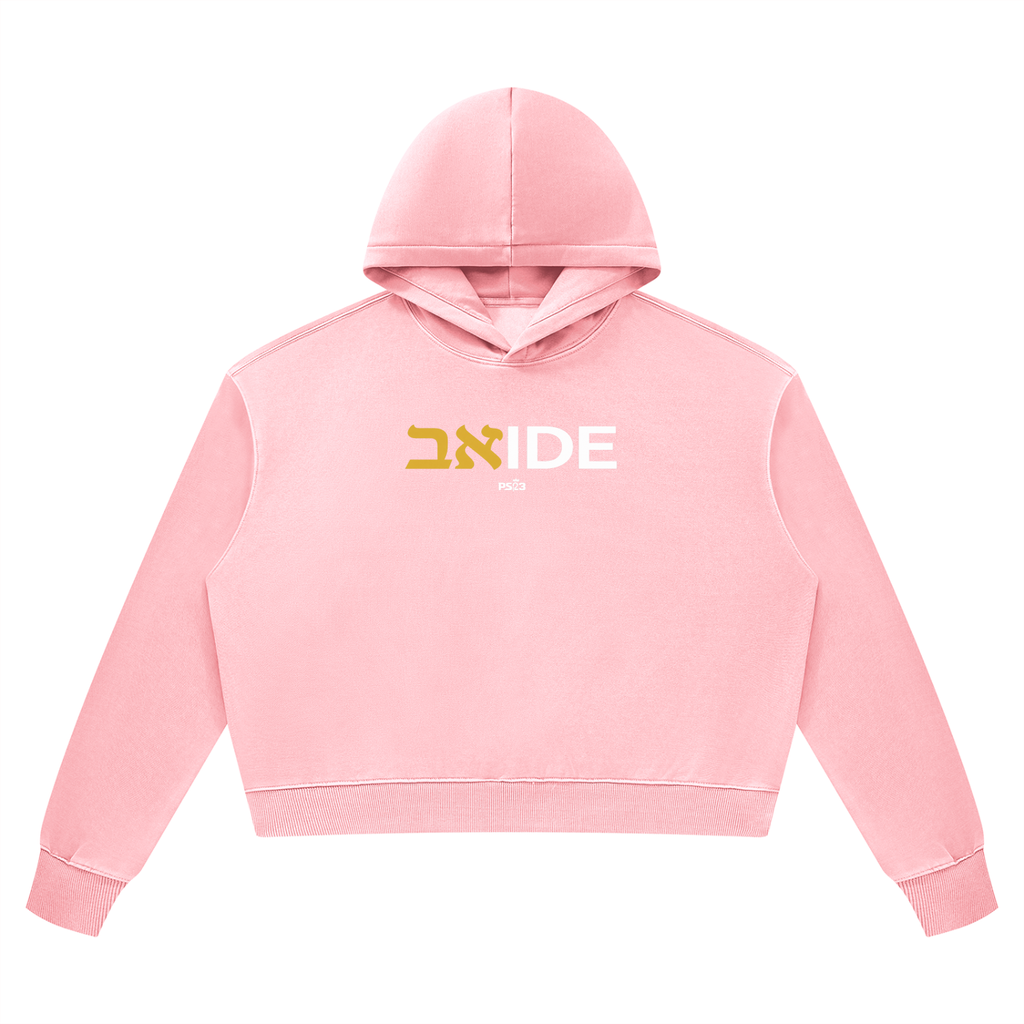 PS23 Bilingual Concept ABIDE Women’s Vintage Wash Heavyweight Hoodie