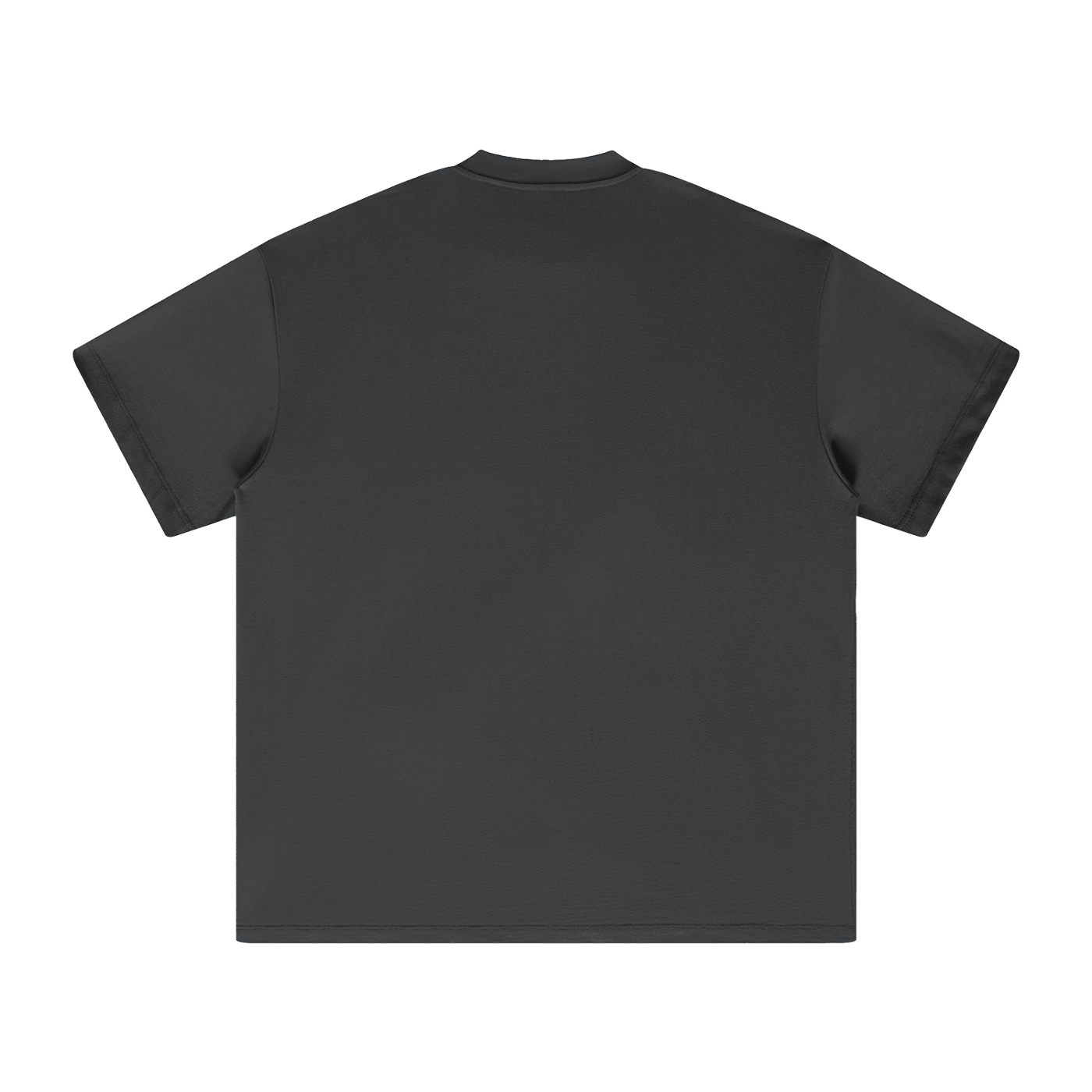 PS23 Discipleship Heavyweight Earth Tone T-Shirt