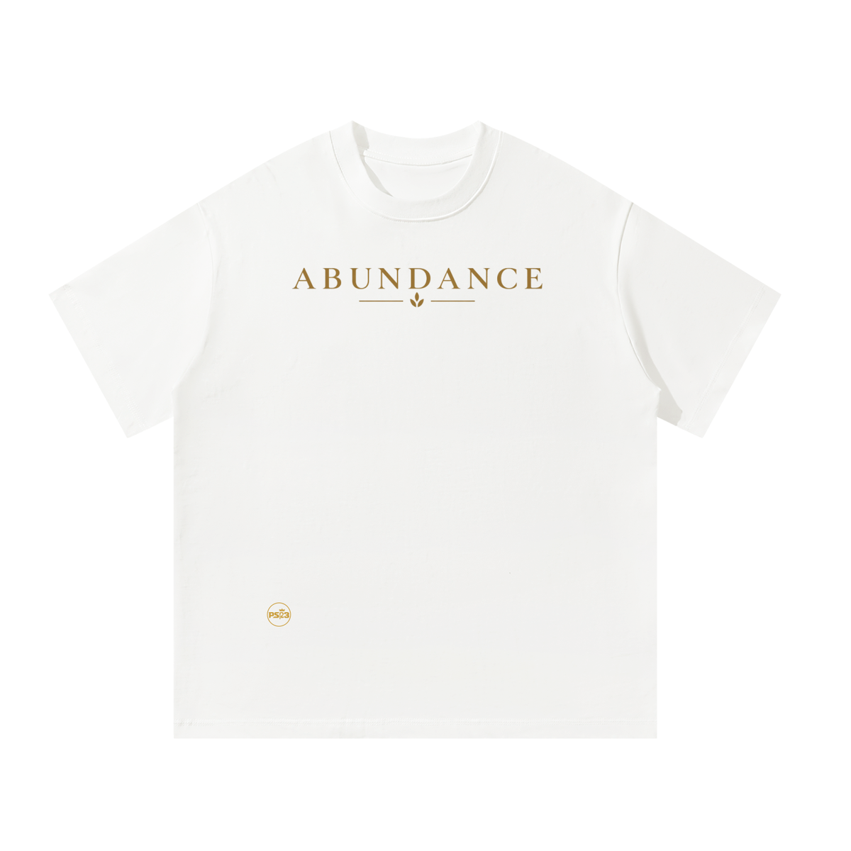 PS23 Abundance Oversized T-Shirt