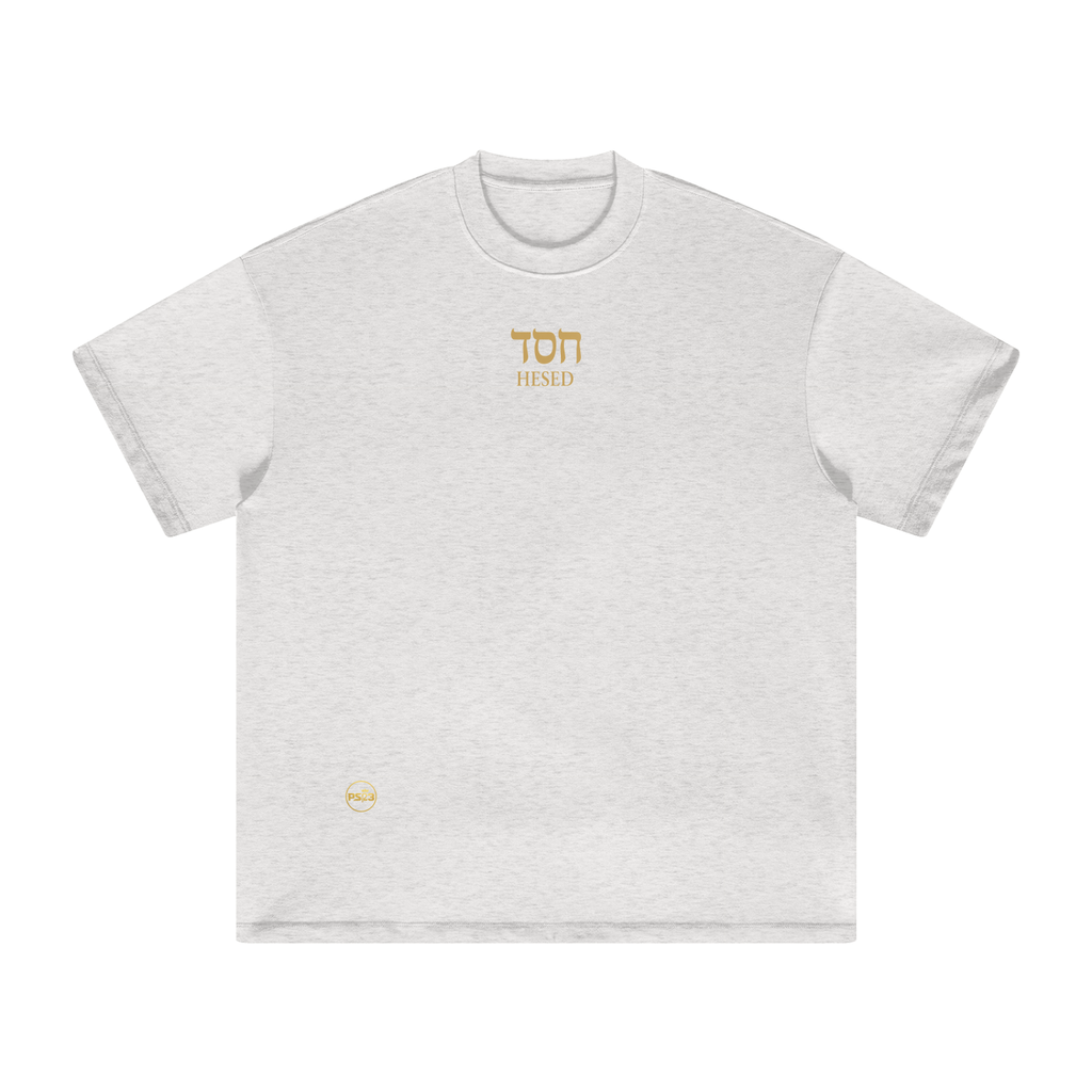 PS23 Hebrew Hesed Heavyweight Earth Tone T-Shirt