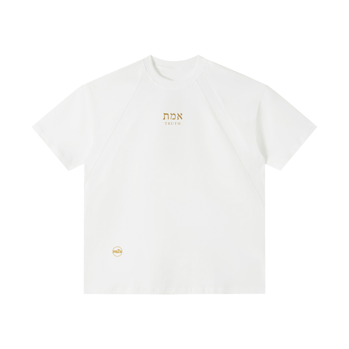 PS23 Hebrew Truth Paneled Performance T-Shirt