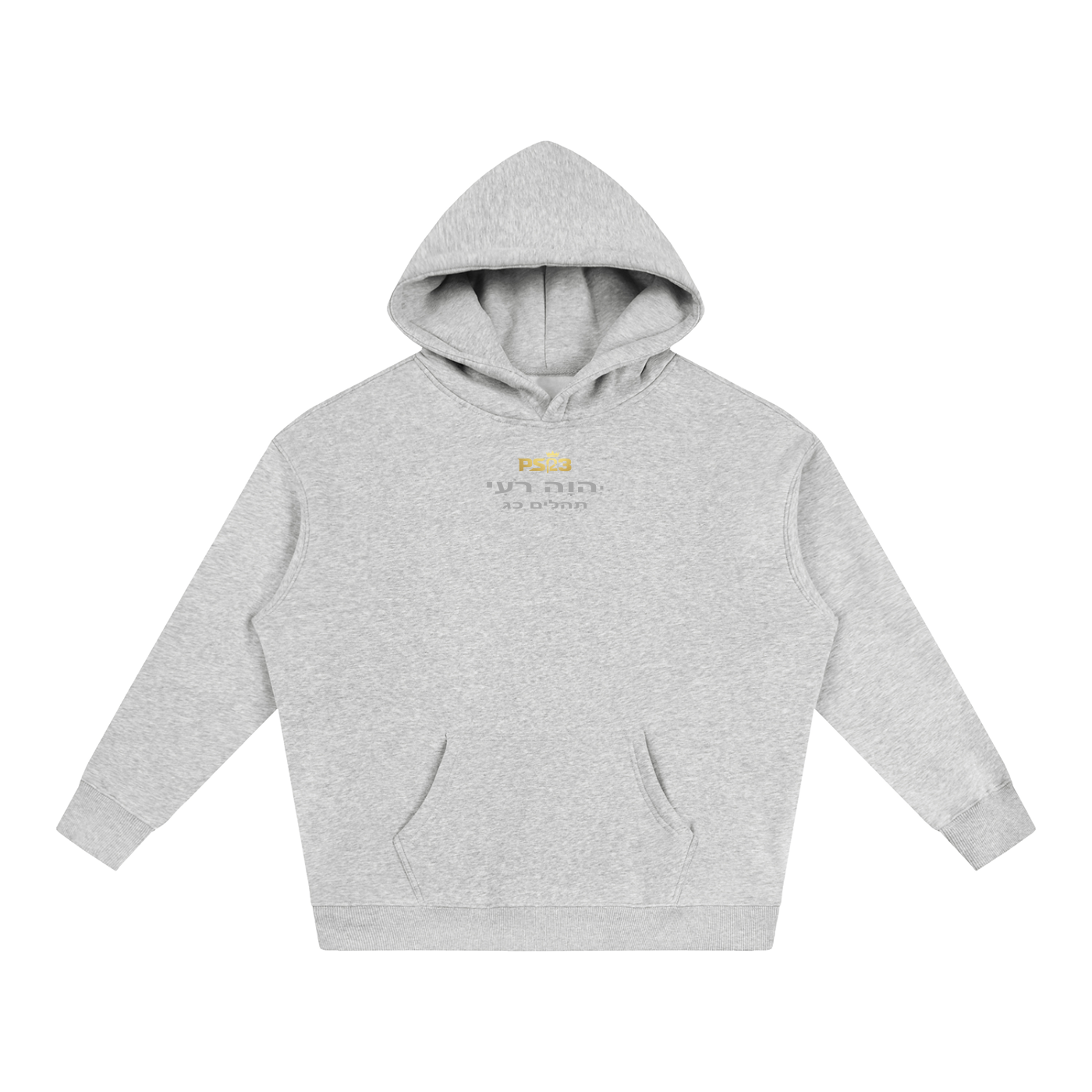 PS23 Tehilim 23 Oversize Fleeced Hoodie