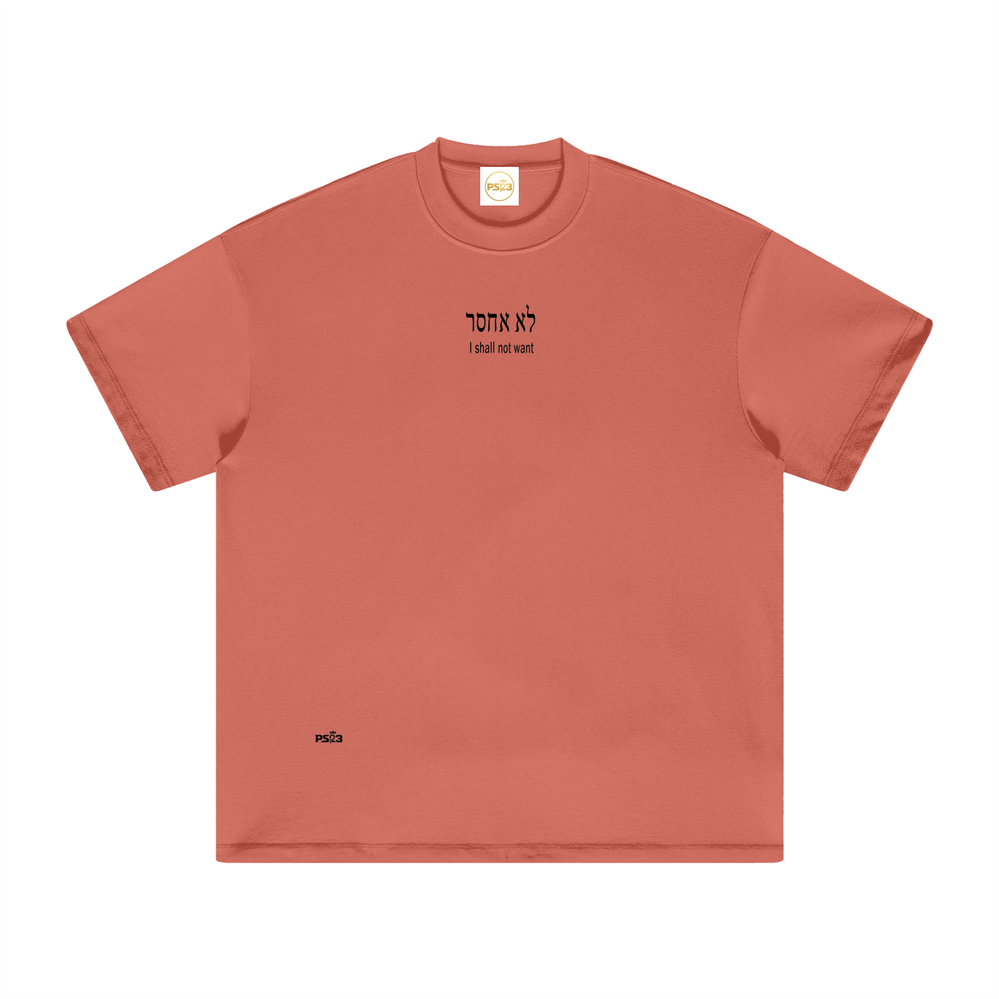 PS23 Hebrew I shall not want Heavyweight Earth Tone T-Shirt