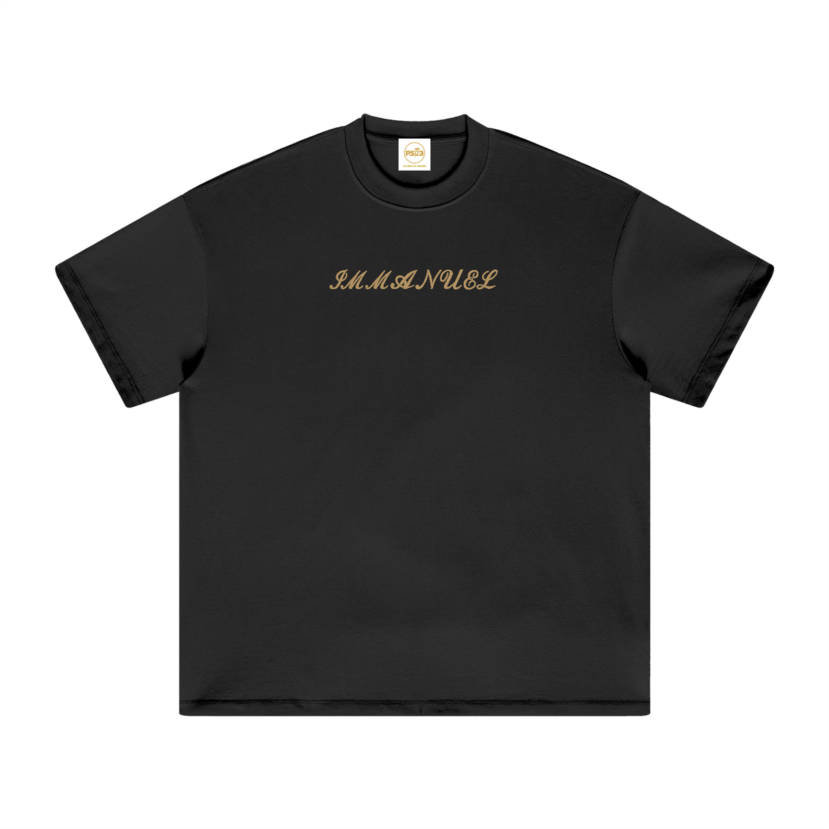 PS23 Embroidery Immanuel Heavyweight Earth Tone T-Shirt