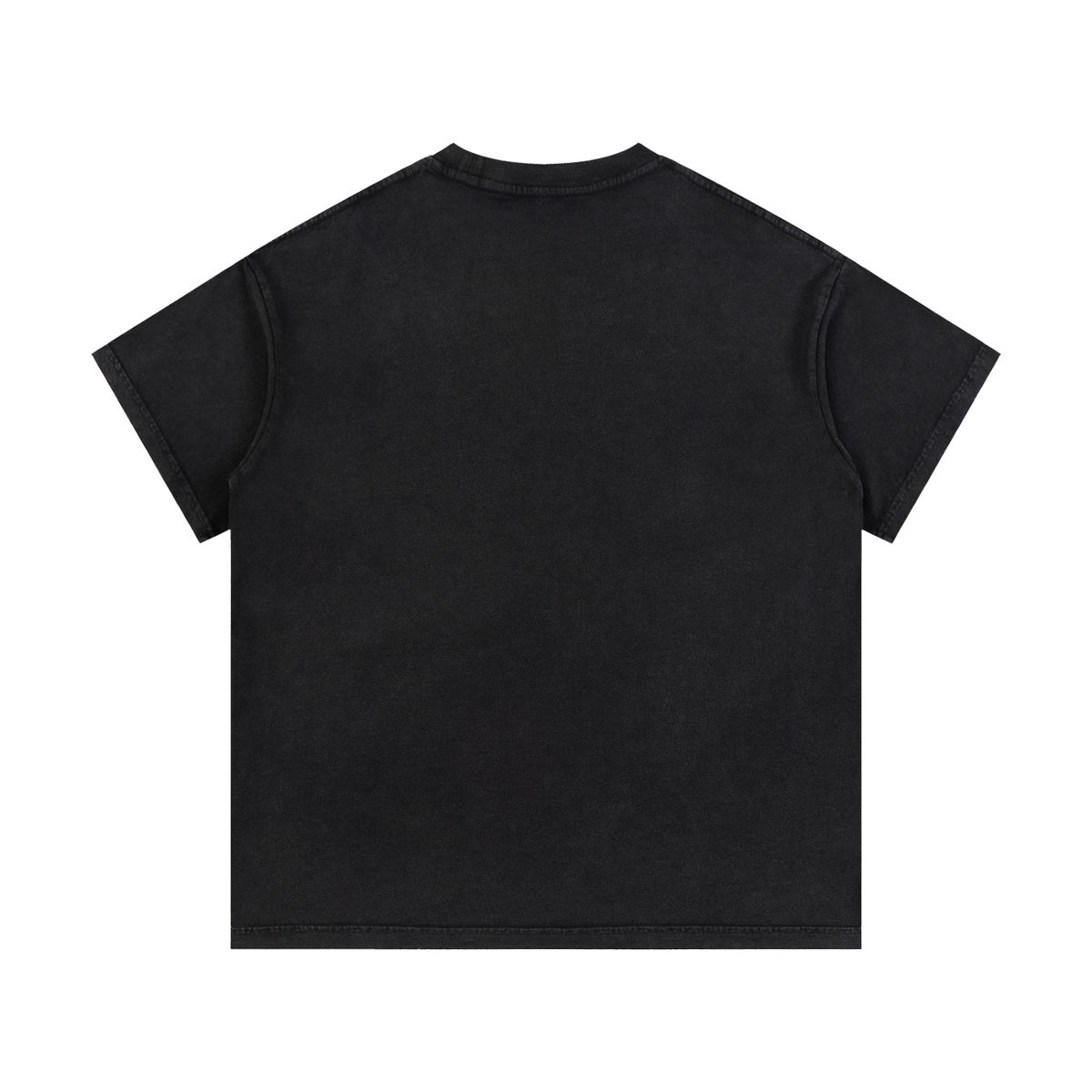 PS23 Bilingual Concept Selah Vintage Wash Cotton T-Shirt