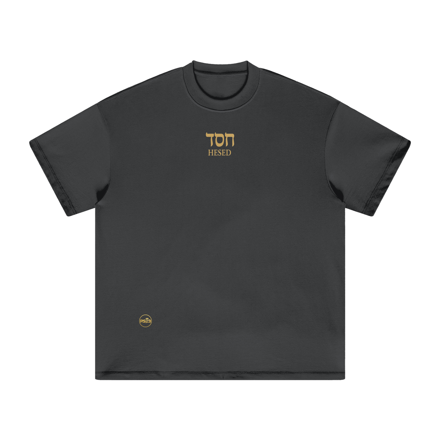 PS23 Hebrew Hesed Heavyweight Earth Tone T-Shirt