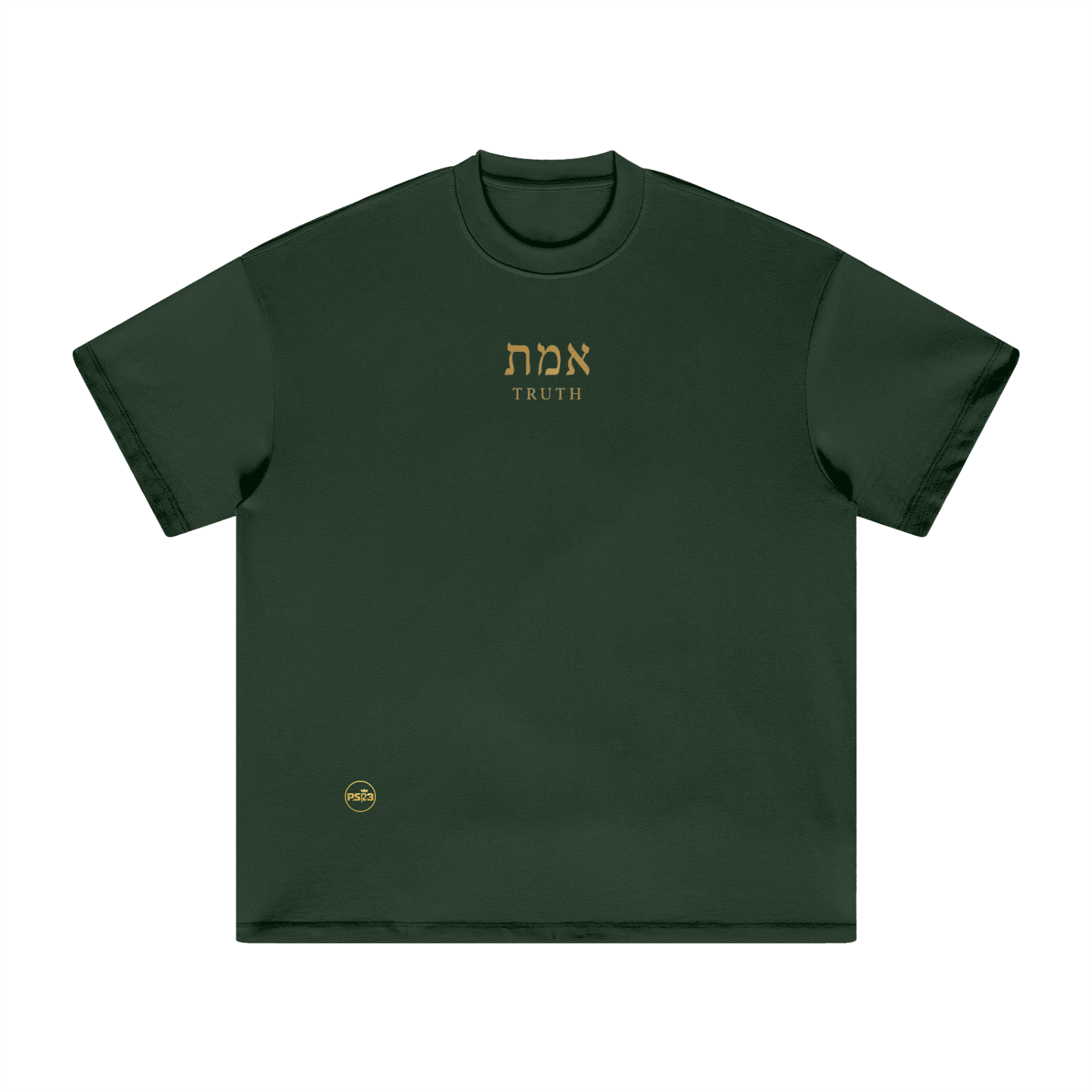 PS23 Hebrew Truth Heavyweight Earth Tone T-Shirt