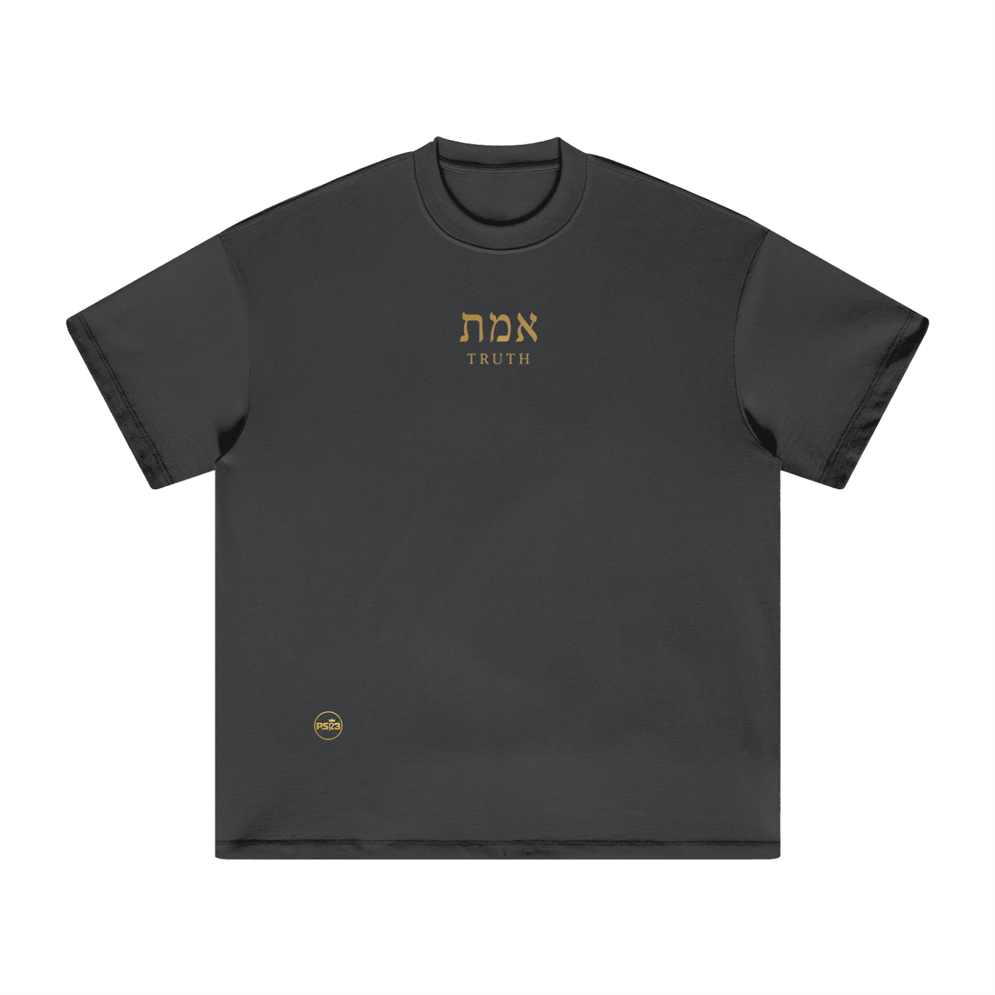 PS23 Hebrew Truth Heavyweight Earth Tone T-Shirt