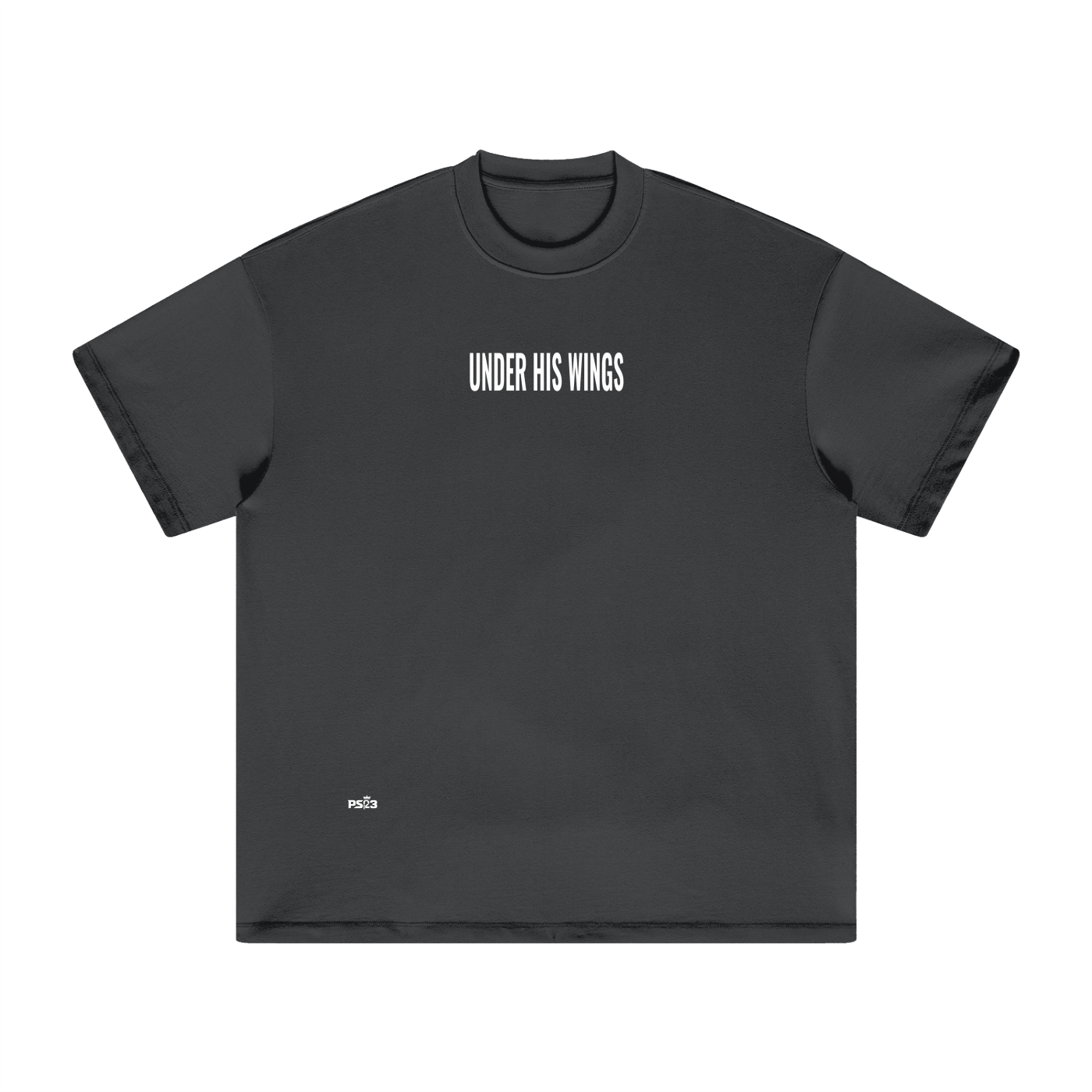 PS23 Under his wings Heavyweight Earth Tone T-Shirt