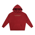 PS23 He restores my soul Oversize Fleeced Hoodie