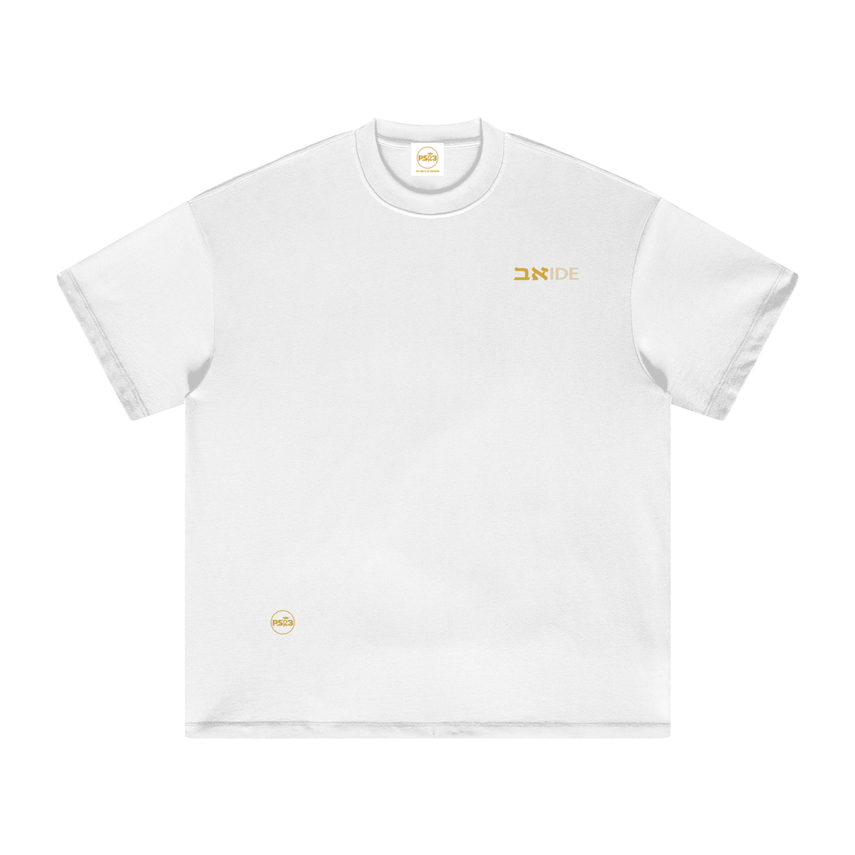 PS23 Bilingual Concept Abide Heavyweight Earth Tone T-Shirt