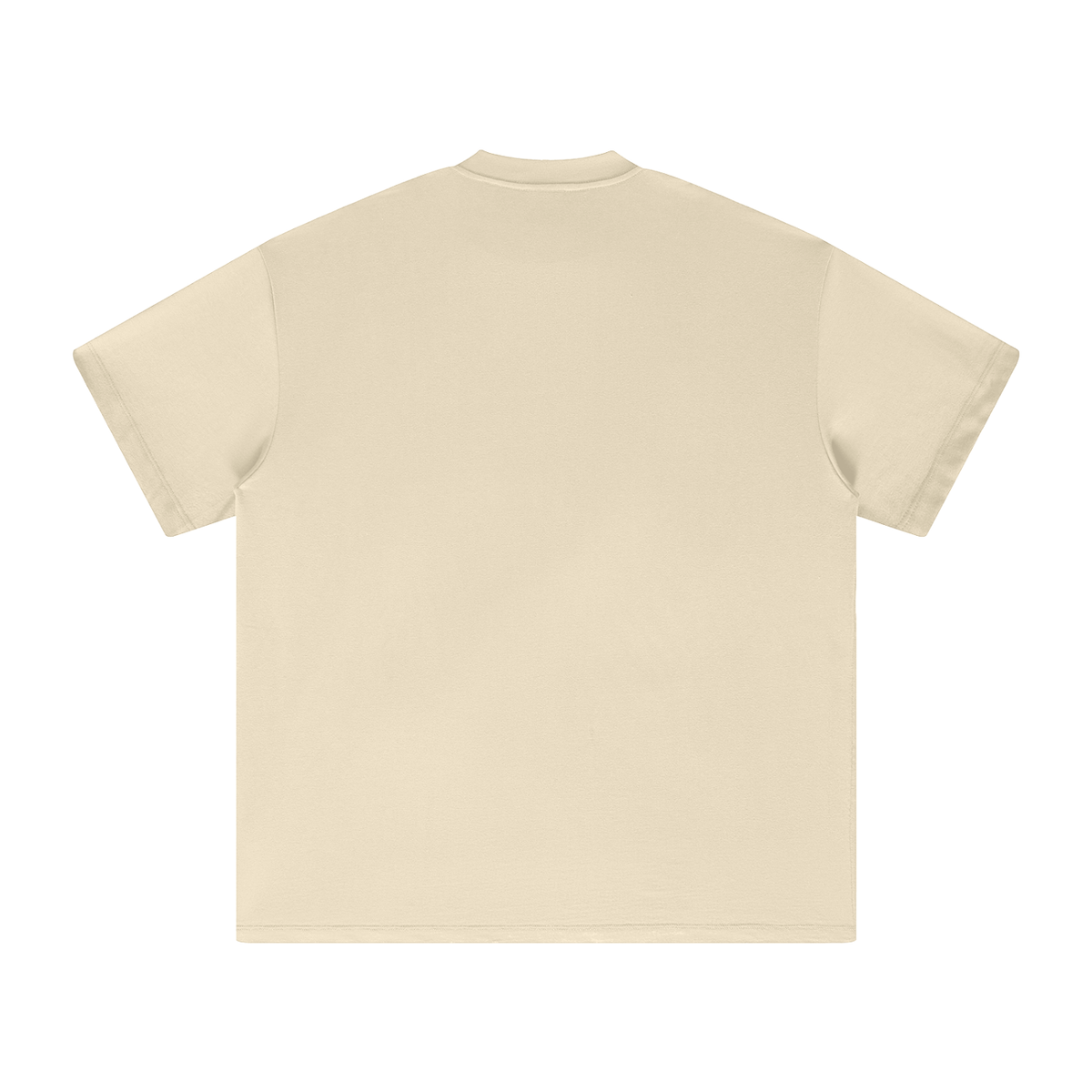 PS23 Bilingual Concept Abide Heavyweight Earth Tone T-Shirt
