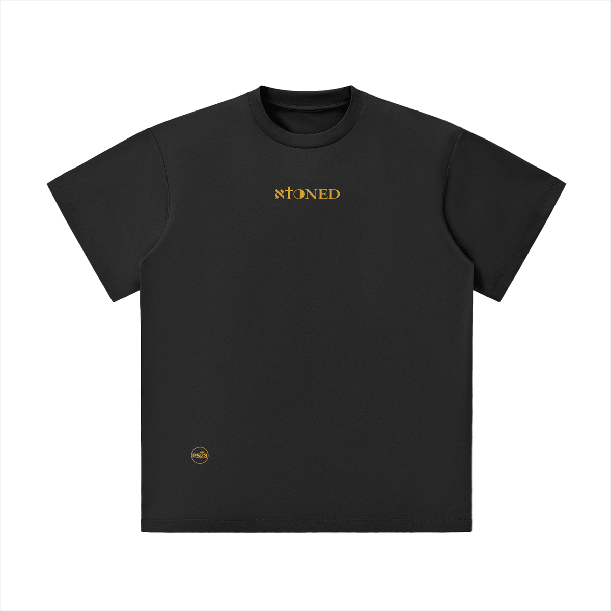 PS23 Bilingual Concept Atoned Unisex Lightweight Oversized T-Shirt
