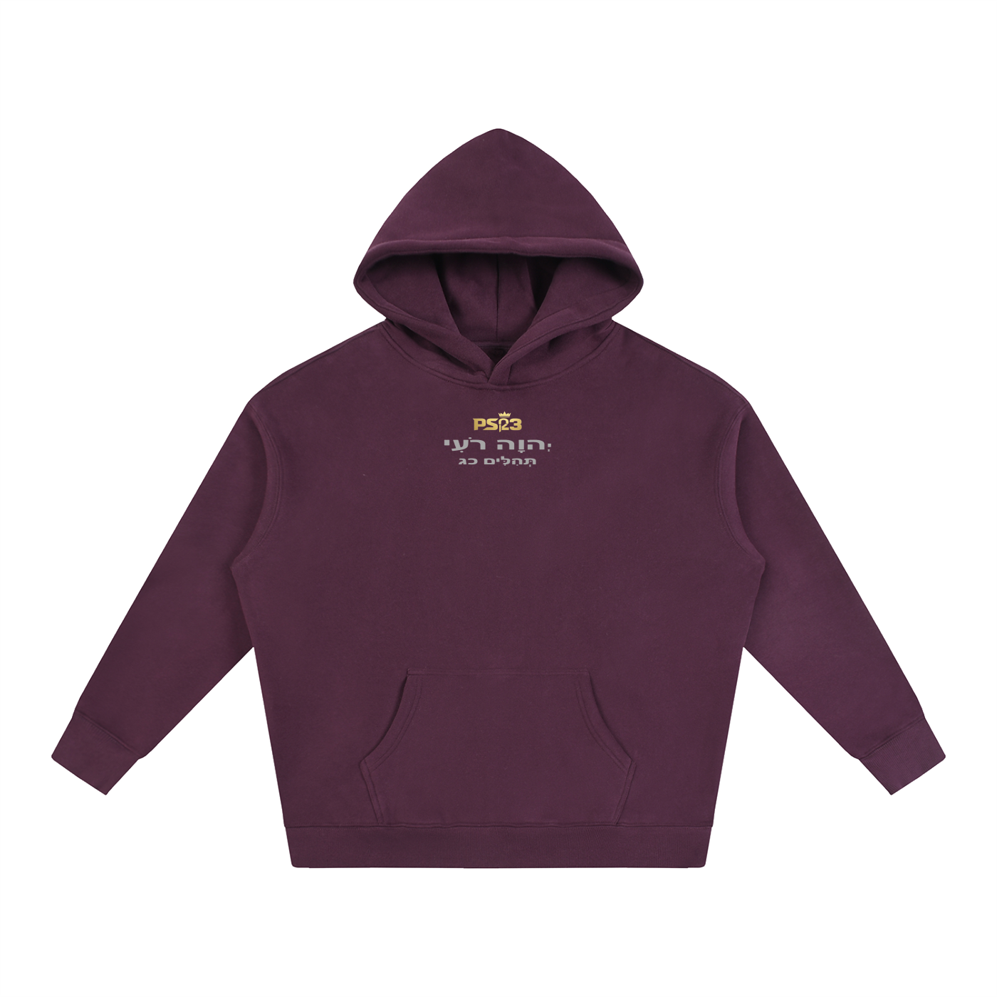 PS23 Tehilim 23 Oversize Fleeced Hoodie