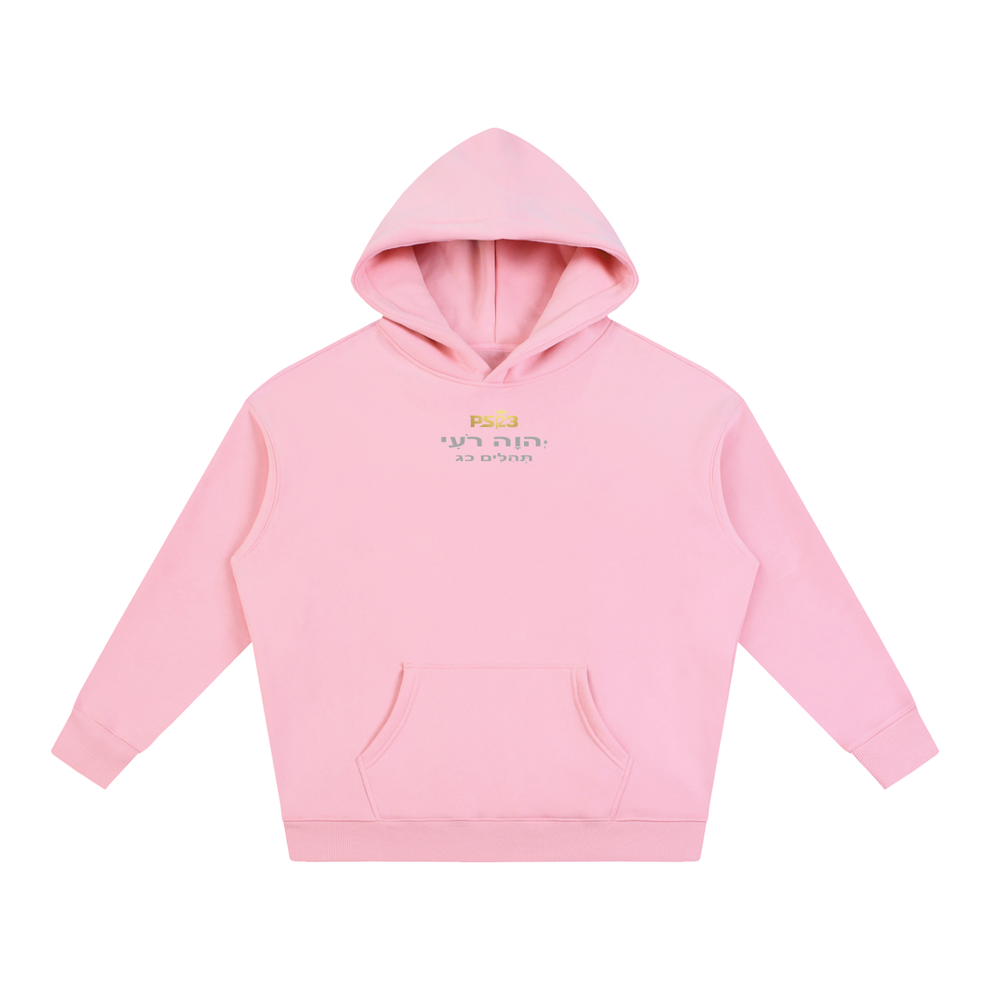 PS23 Tehilim 23 Oversize Fleeced Hoodie