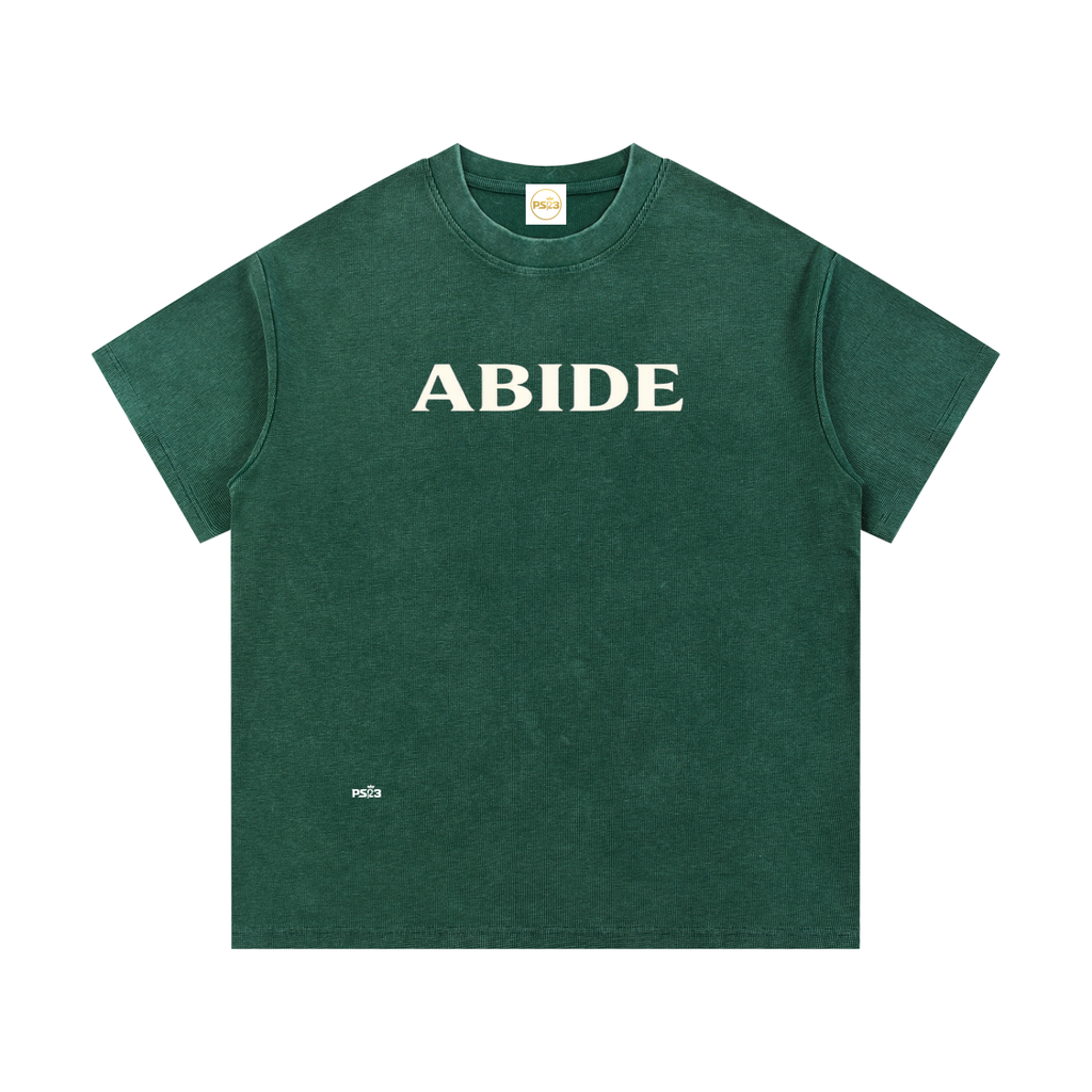 PS23 Abide Mineral Wash Waffle Knit T-Shirt