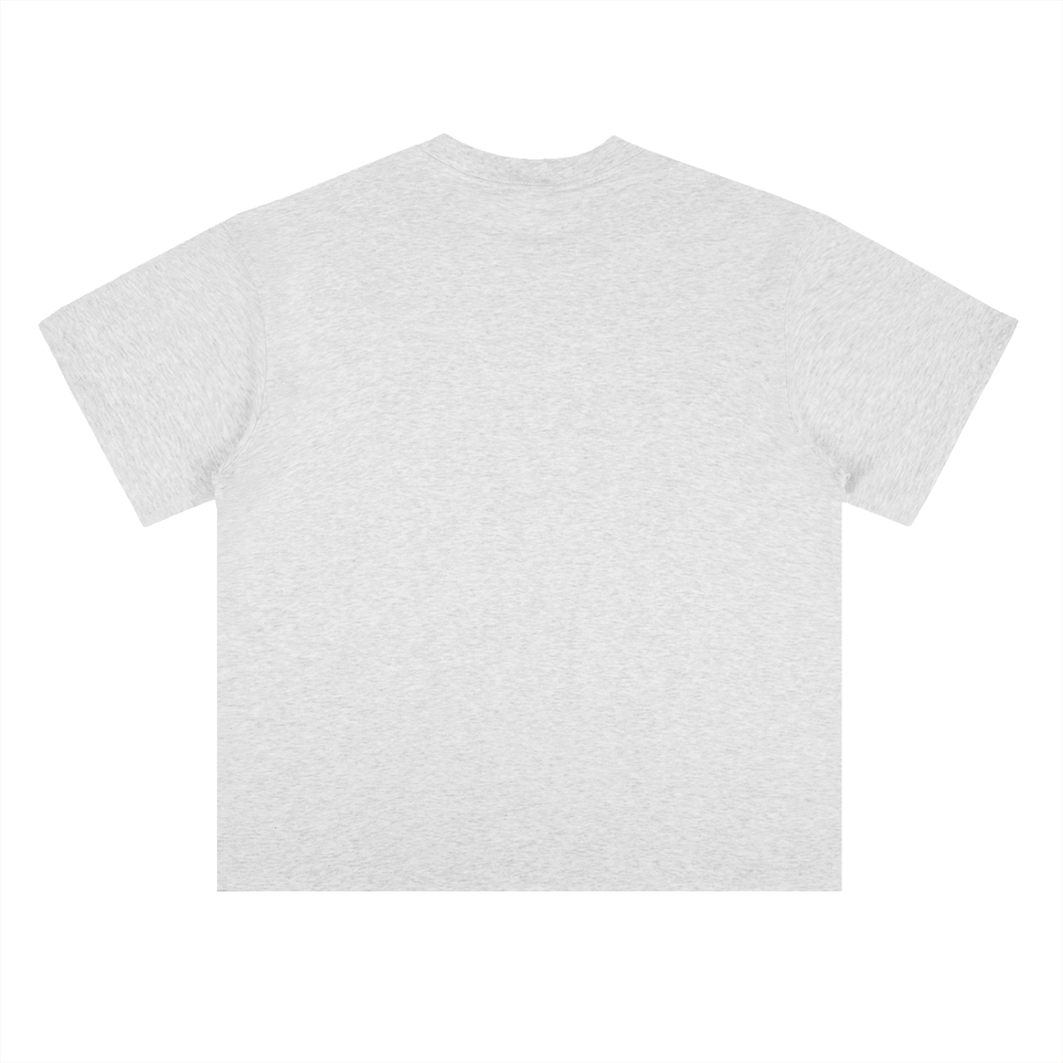 PS23 Forgiven Heavyweight Drop Shoulder Cotton T-Shirt
