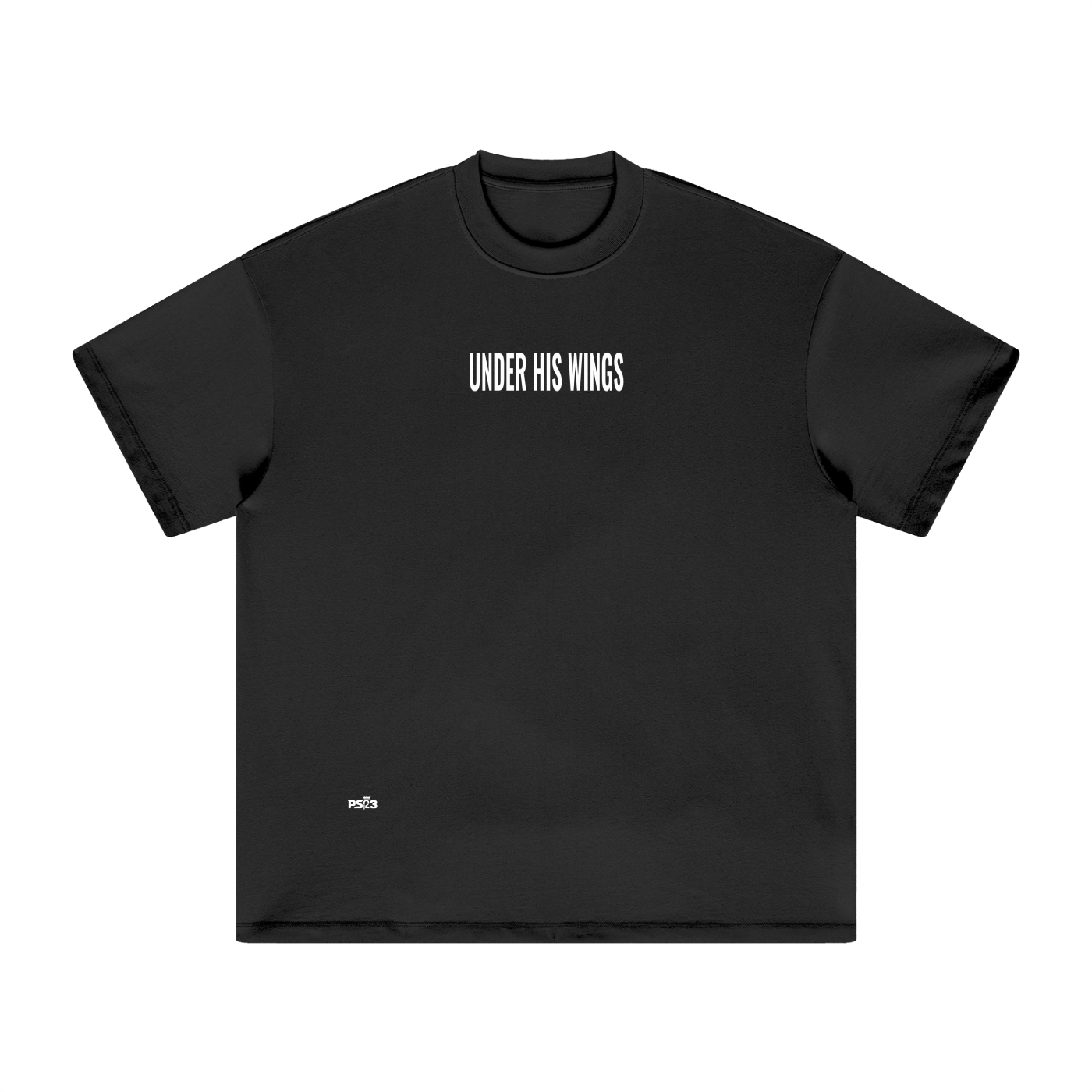 PS23 Under his wings Heavyweight Earth Tone T-Shirt