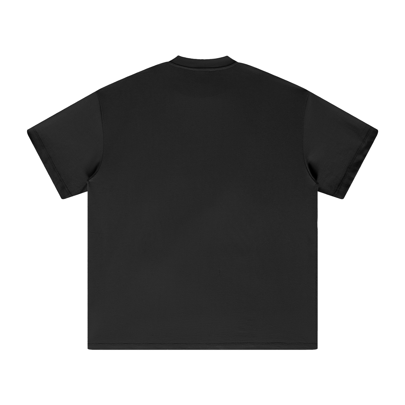 PS23 Under his wings Heavyweight Earth Tone T-Shirt
