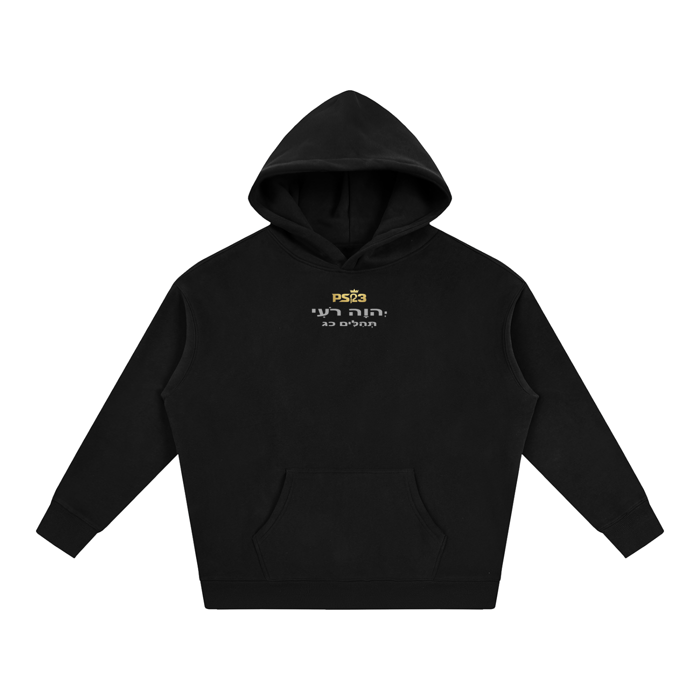 PS23 Tehilim 23 Oversize Fleeced Hoodie