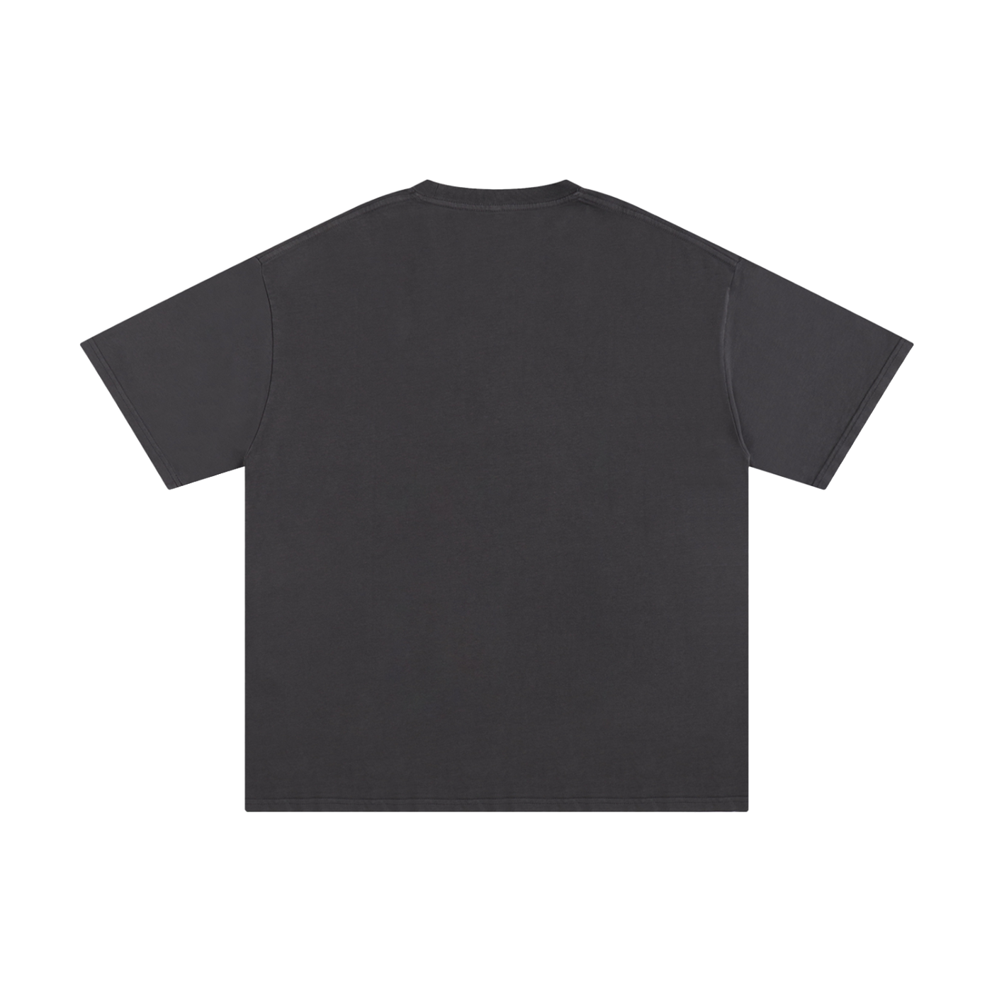 PS23 Established Unisex Pure Cotton T-Shirt