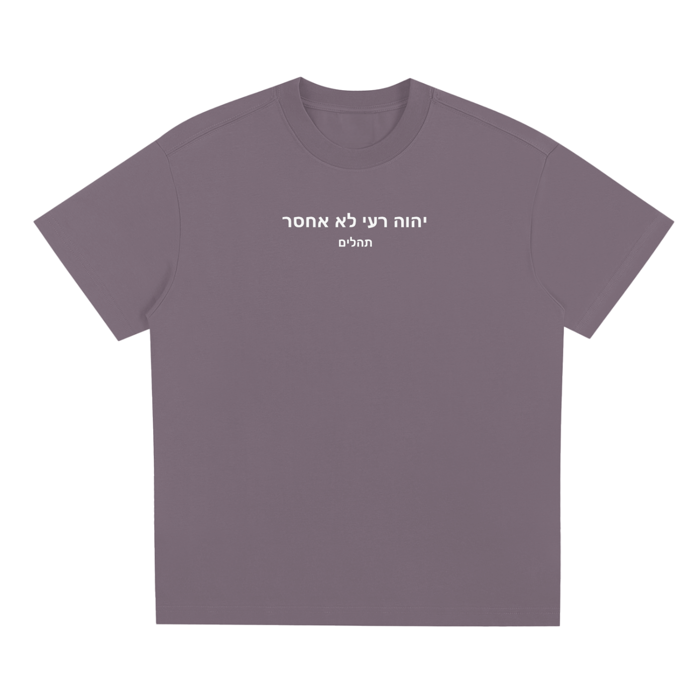 PS23 Hebrew Psalm 23 Sorona Quick-Dry Cooling T-Shirt