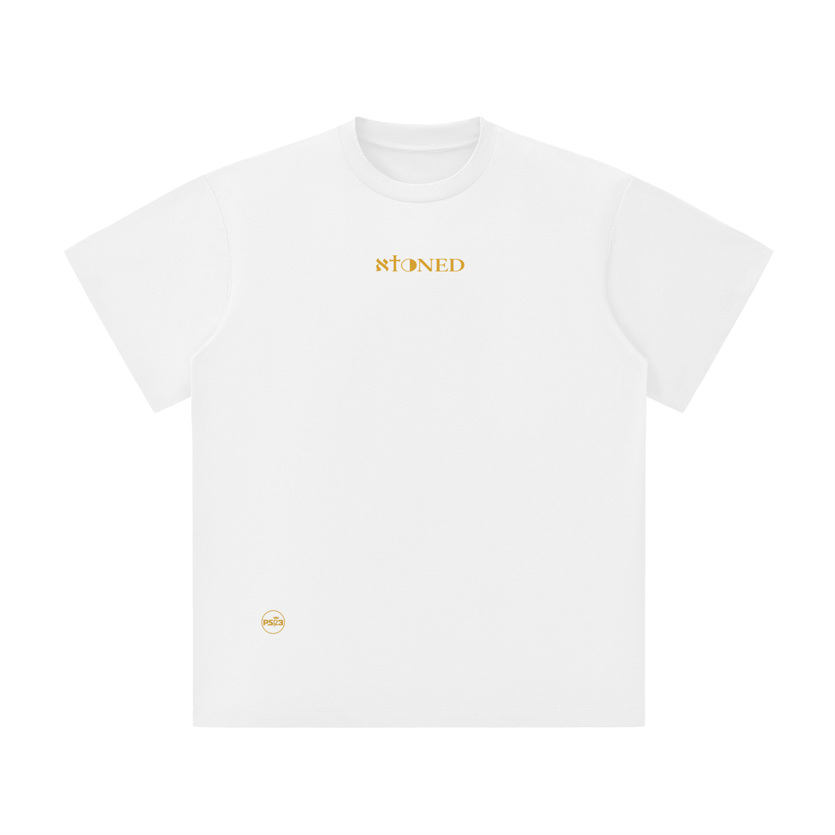 PS23 Bilingual Concept Atoned Unisex Lightweight Oversized T-Shirt