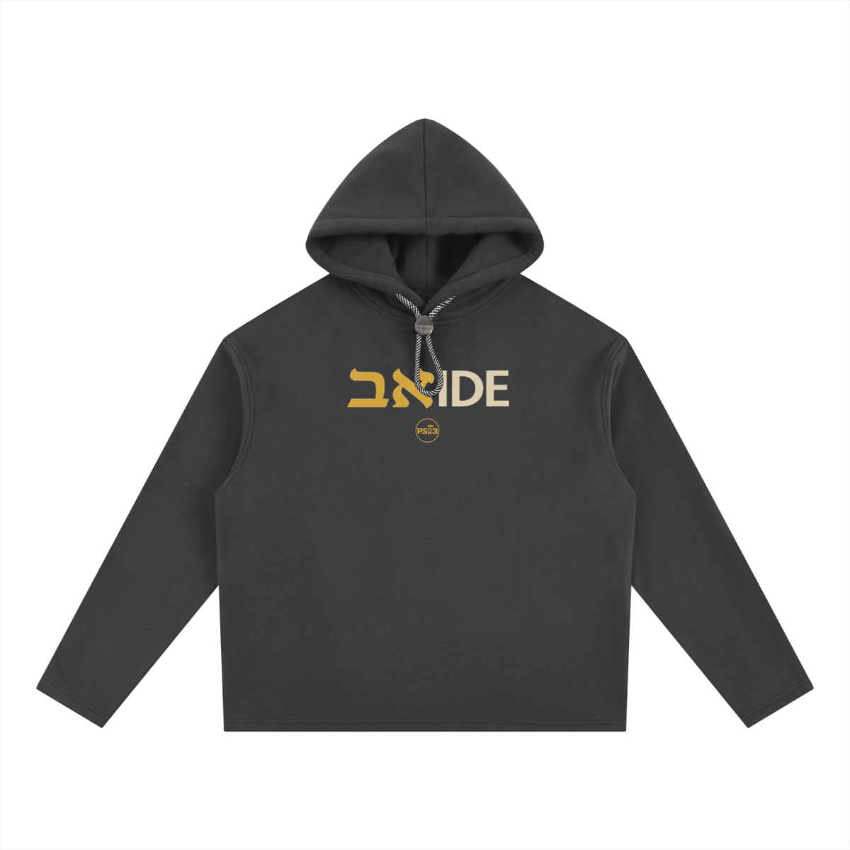 PS23 Bilingual Concept Abide Oversized Fleece Hoodie