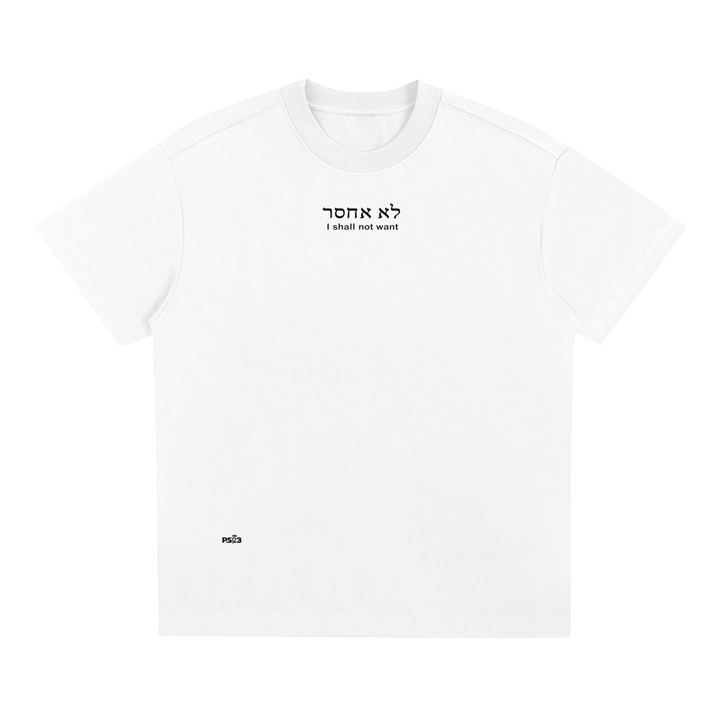 PS23 Hebrew I shall not want Sorona Quick-Dry Cooling T-Shirt