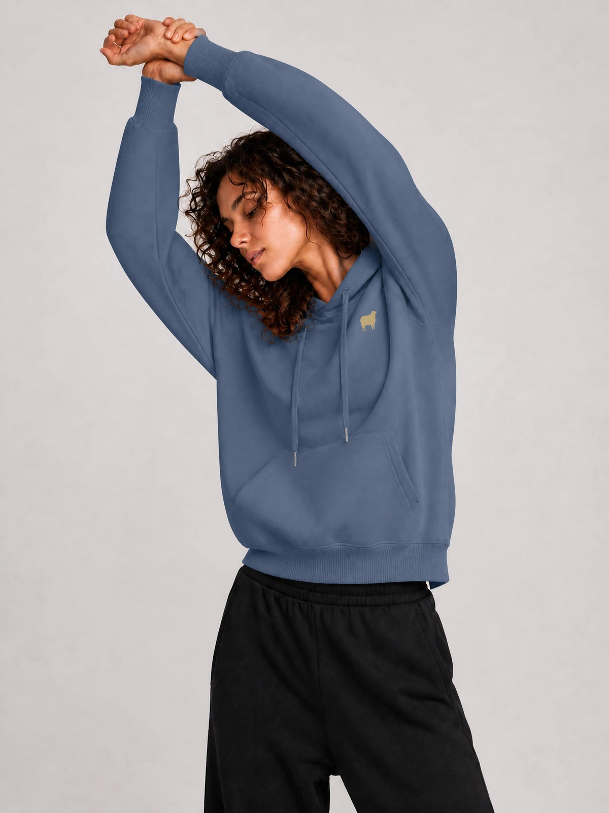 PS23 Sheep Women Classic Unisex Cotton Hoodie